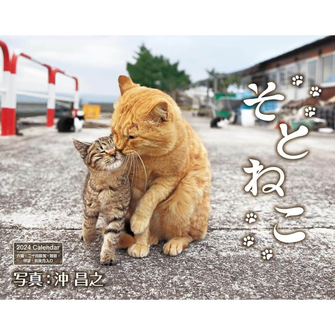 Masayukiさんのインスタグラム写真 - (MasayukiInstagram)「【ぼくにとっては1番大きなサイズのカレンダー🗓️】  2024 そとねこ 壁掛けカレンダー ￥1,100 サイズ: 30 x 38 cm  全国の書店およびAmazon等のオンライン書店にて こちらのカレンダーご予約受付中。 ぜひご予約くださいませ。  ※　 #2024年のぼくのカレンダーは壁掛け4種類です。  #cat #ねこ #猫」11月24日 20時15分 - okirakuoki