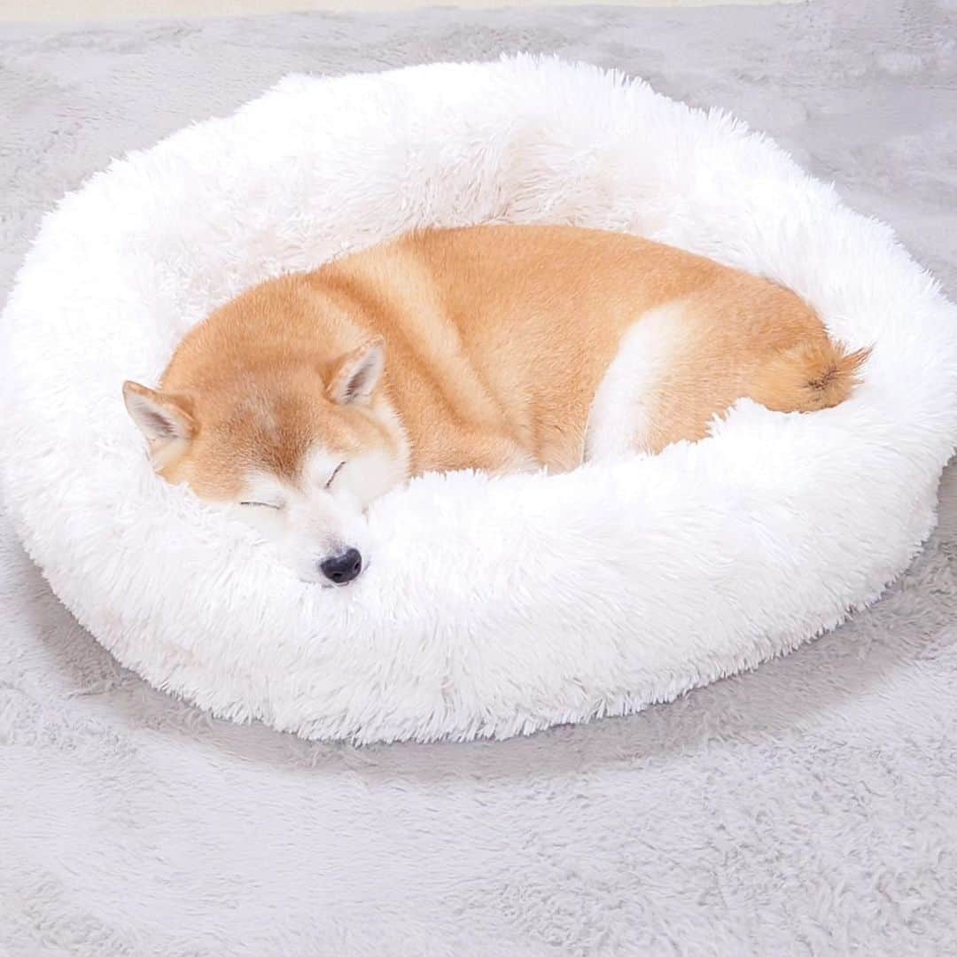 ちゃみのインスタグラム