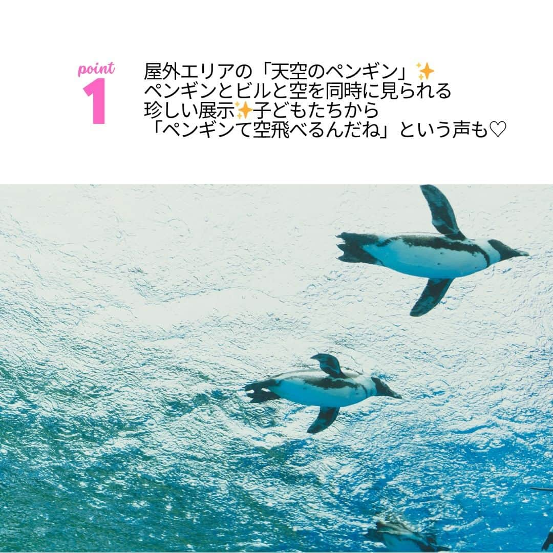 VERY編集部さんのインスタグラム写真 - (VERY編集部Instagram)「【保存がオススメ！子連れでお出かけSPOT】 今週は池袋サンシャインシティにある サンシャイン水族館をご紹介✨ 都会の屋上という珍しい場所にある水族館ならではの展示方法に 大人も子どもも心躍ります♡  ≪サンシャイン水族館≫ 住所：豊島区東池袋3ー1 サンシャインシティ ワールドインポートマートビル 屋上  電話番号：03-3989-3466 営業時間：9:30〜18:00（変動あり） 年中無休 大人￥2600～、小中学生￥1300～、3歳以下無料  #very #VERY編集部 #VERYweb #雑誌VERY #カートでさんぽ  #veryjidokan  #VERY児童館　#子連れママコーデ #子連れおでかけスポット　 #VERY的カートでさんぽ #池袋 #サンシャイン水族館 #水族館 #アクアリウム #子連れ水族館 #子連れスポット」11月24日 20時30分 - veryweb.jp