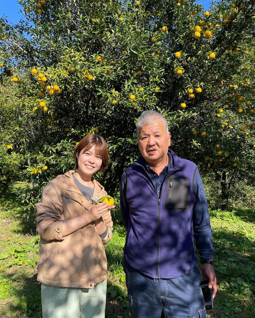 岩間瞳さんのインスタグラム写真 - (岩間瞳Instagram)「＼イチオシ！雨乞の柚子／ 先週取材したのは我が故郷のおとなり柴田町🙆‍♀️ 旬を迎えた雨乞（あまご）地区の柚子です✨  生産組合の加藤さんと加工組合の皆さんにお世話になりました☺️ いつも取材に伺うのは突然なのですが 皆さんが優しく迎え入れてくださってとても嬉しいです...！  雨乞地区は小高い山の中にあり（4枚目） 樹齢数百年とされるゆずもありました（5枚目）🍊  スーパーなどでは見ることができない貴重なゆず、 その販売会は今度の日曜日（26日）！ 丹精込めて育てられた実や丁寧に作られた加工品などが並びます🙋‍♀️  一気に寒くなりましたが 皆さんの笑顔とゆずの豊かな香りで 心も体もあったかくなりました✨  #宮城 #宮城グルメ #仙南 #仙南グルメ #柴田町 #柴田町グルメ #雨乞の柚子 #冬の果物といえば #ゆず #みやぎイチオシ #てれまさ #アナウンサー #キャスター #取材レポ」11月24日 20時45分 - iwama1313