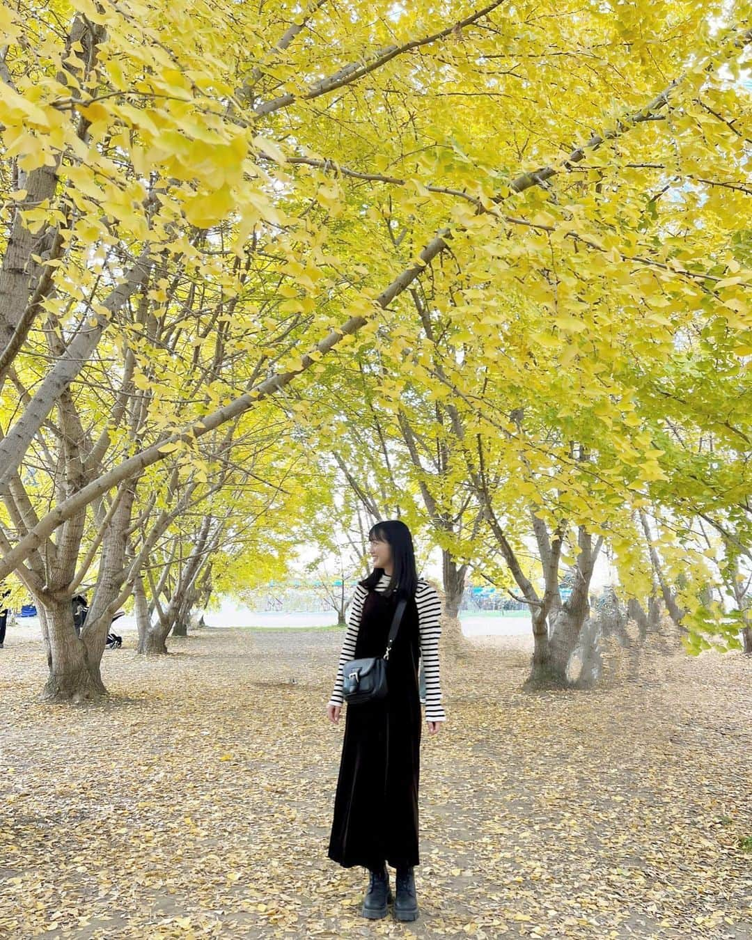 希山愛のインスタグラム：「* 太原のイチョウ‪‪❤︎‬  目の前にはたくさんのイチョウの木と イチョウの絨毯でめっちゃ綺麗でした😌✨️  最後の写真は妹がイチョウの絨毯で 花束作った〜！ってくれた写真💐🤍  #太原のイチョウ #イチョウ #いちょう #イチョウ並木 #秋 #紅葉 #黄葉 #福岡 #八女 #단풍잎 #은행나무 #경치 #fukuoka #yame #followme #99line」