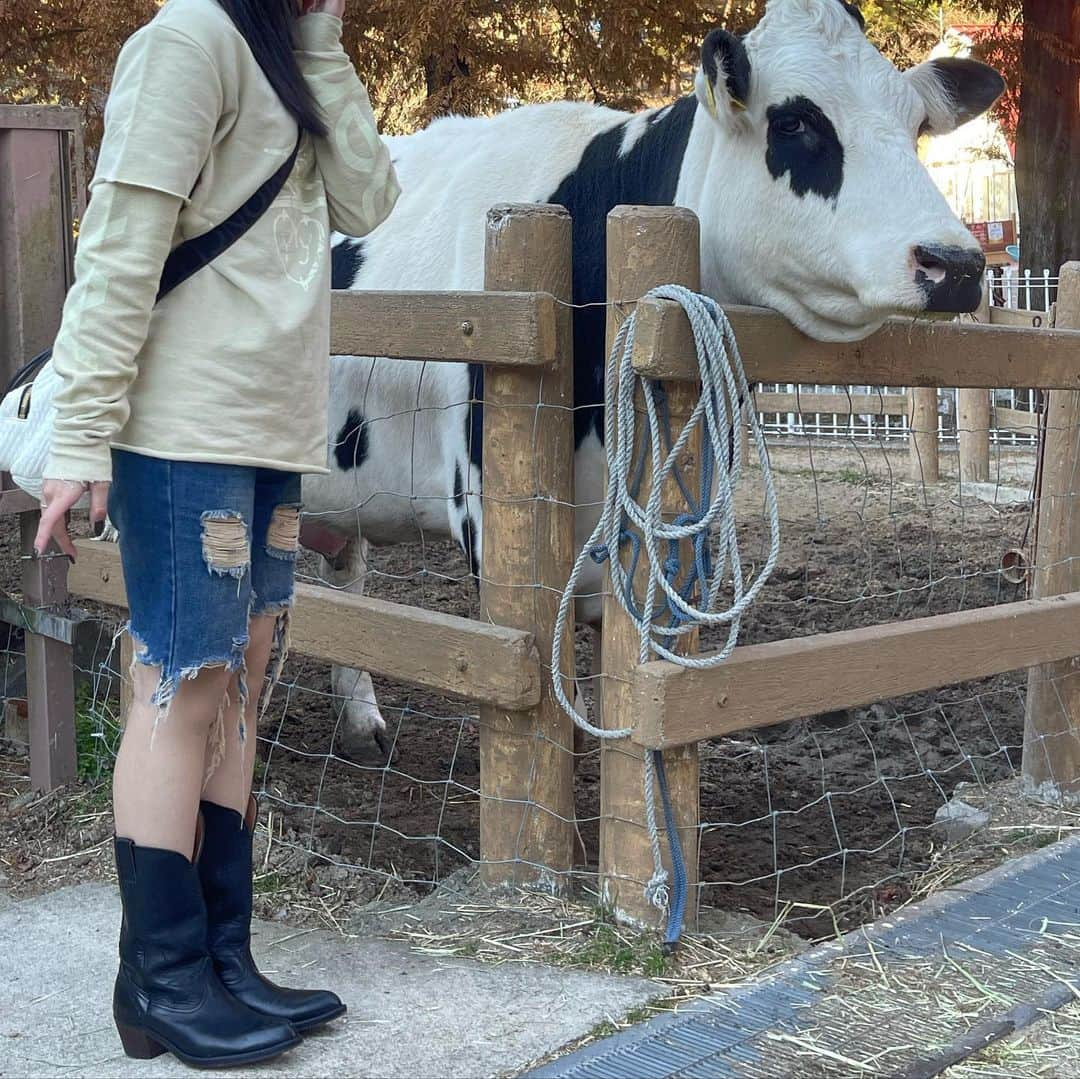 RUNA（竹田瑠奈）さんのインスタグラム写真 - (RUNA（竹田瑠奈）Instagram)「🐄🌳（╹◡╹）♡🪽」11月24日 20時38分 - runacccc