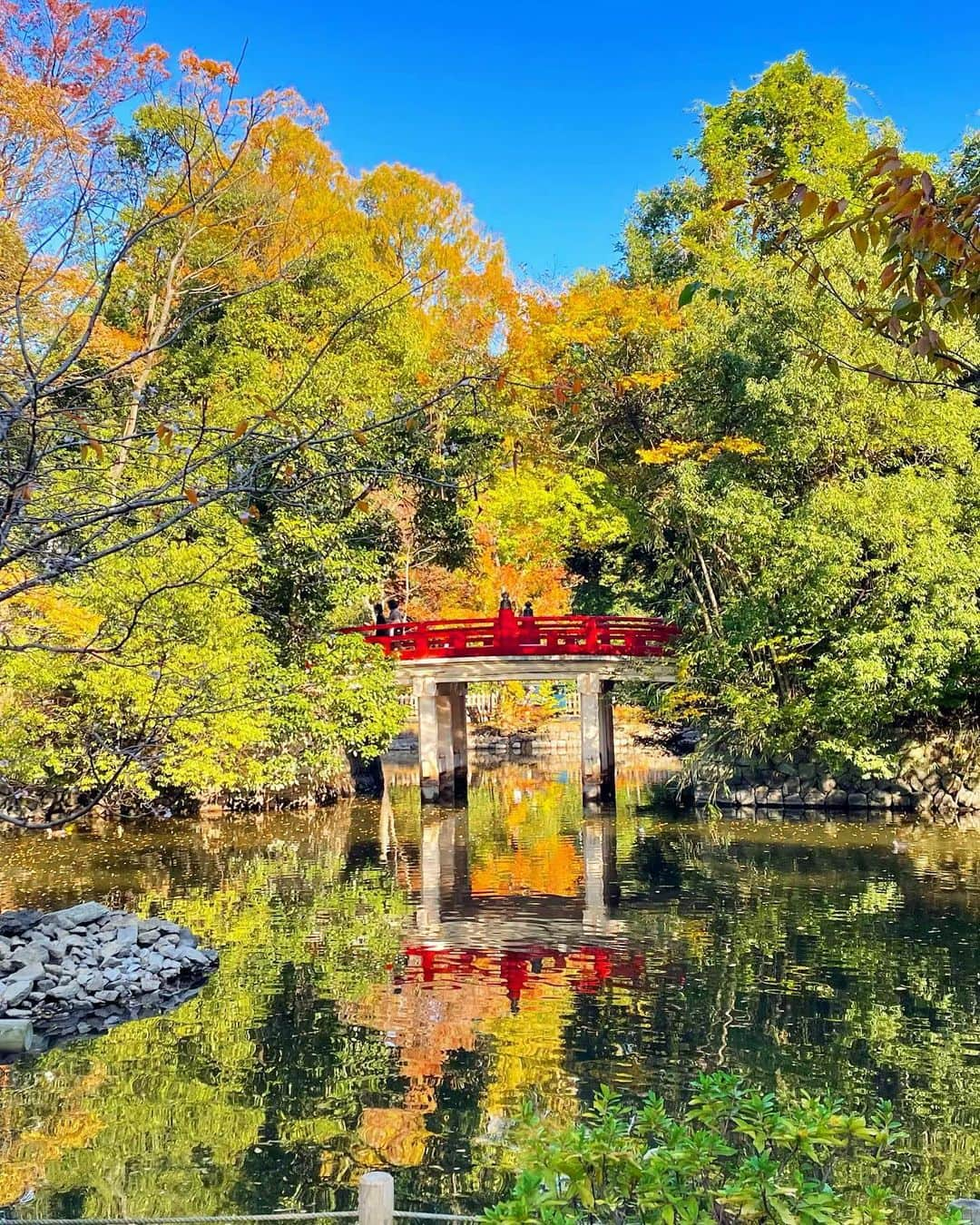 北口麻奈さんのインスタグラム写真 - (北口麻奈Instagram)「埼玉県氷川神社へ⛩️ お参りをすると気持ちがすっきりしますね☺️ パワースポットといわれている蛇の池は、とっても静かな空気で心が落ち着きました。 そして１１月とは思えない暖かさのなか、紅葉狩りに酒まんじゅうも堪能😋 季節外れの暖かさのおかげで、快適に過ごせました✨ #氷川神社 #蛇の池 #氷川まんじゅう #酒まんじゅう #パワースポット」11月24日 20時40分 - asana_kitaguchi