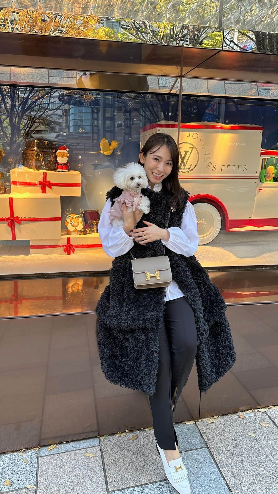 shizuka.watanabeのインスタグラム：「本日はopen前の犬CAFEで遊んできた🐶 たくさんのわんこに会えて幸せな1日だったよー!!!  犬って癒しだわ...🐶❤️  けやき坂がクリスマスっぽい雰囲気になってました🎄 しらたまとお散歩〜♪ 可愛すぎてメロメロです🤤  #hermes  #hermesconstance #constance #sevendot #maxmara #thinkfur #coel #roppongi #roppongihills #犬好き　#いぬのいる暮らし」