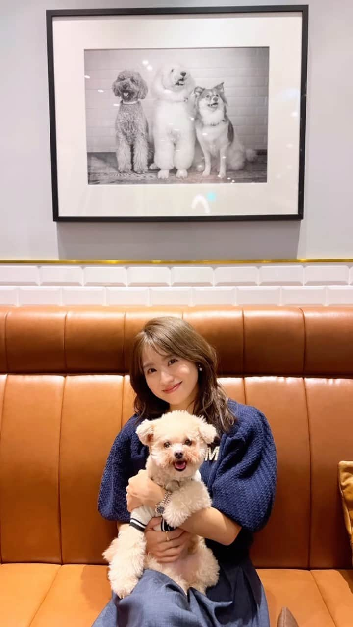 曽田茉莉江のインスタグラム：「代々木公園近くにある"犬は家族"をコンセプトにした Cafe【NINE9+】が六本木ヒルズにて2店舗目を11/27(月)にオープンということで一足先にレセプションに レツくんとお邪魔させて頂きました🐶  ワンコが自由に行ったり来たり🥹 可愛いが溢れておりました🤤🩷  店内もお食事もとっても素敵でした✨  オープンしてからもこれは愛用させて頂きます🐶🩷  昨日はレツくんとお昼食べてから クリスマスプレゼント🎁を見に行って 公園で鬼ごっこしましたよ😂😂  31歳、スカートで必死に逃げ回りました😂 途中で自分でも必死さに笑えてきました😂  毎回楽しい時間をありがとうだよ🥺🩷 ママさん、パパさんもありがとうございます🙇‍♀️  💙　@retsu2117 💙  tops &skirt @m_maglie_le_cassetto_official   #クリスマス#クリスマスデート#公園#公園コーデ」