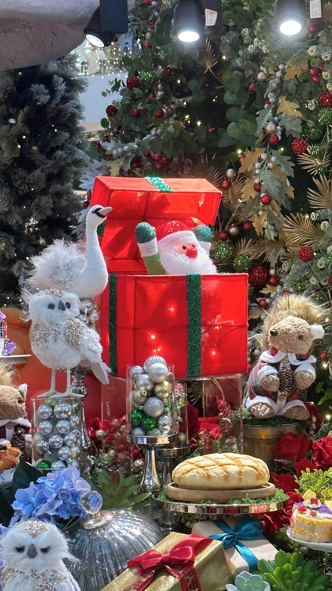 秋山衣梨佳のインスタグラム：「#Xmas 🎄⛄️❄️」
