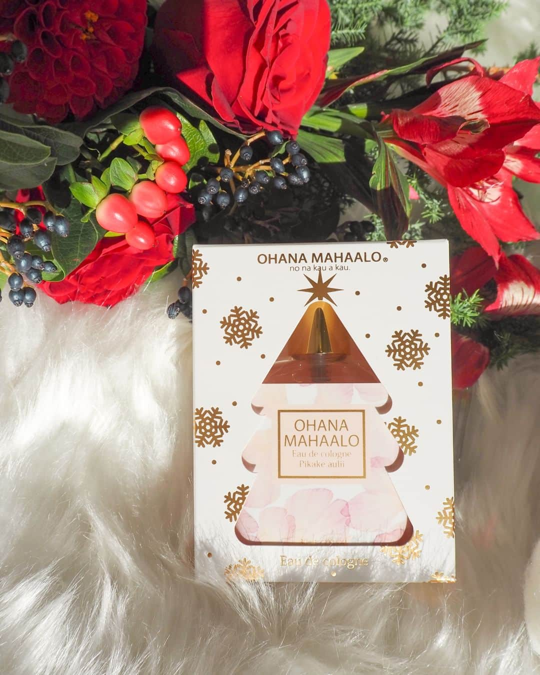 FRAGRANCYさんのインスタグラム写真 - (FRAGRANCYInstagram)「． 【OHANA MAHAALO】  オハナマハロの限定パッケージは クリスマスツリー🎄 ゴールドに輝く雪の結晶やオーナメントが キラキラしていてとてもキュートです✨ この時期だけの数量限定パッケージなので 店頭で見かけたらぜひお手に取ってみてください🎅  クリスマス限定パッケージ オハナ・マハロ　オーデコロン〈ピカケ　アウリィ〉 30mL / ¥1,870  *⑅︎୨୧┈︎┈︎┈︎┈︎┈︎┈︎┈︎┈︎┈︎┈︎┈︎┈︎┈︎┈︎┈︎┈︎┈︎┈︎┈︎୨୧⑅︎*  @ohanamahaalo #fragrancy_online #fragrancyonline #fragrancy #japan #フレグランシィオンライン #クリスマスコフレ2023 #ホリデーコフレ #クリスマスギフトにおすすめ #香りのある暮らし #香りのある生活」11月24日 21時00分 - fragrancy_online