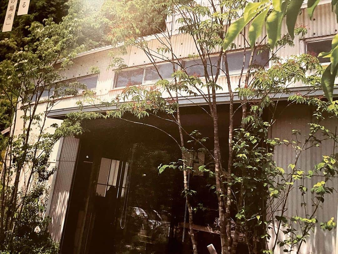石井元気さんのインスタグラム写真 - (石井元気Instagram)「森のレストランと緑のレストラン  コンプリートシリーズ第6弾  CAFE unautre(島田市)  10種のスパイスと鶏そぼろカレー ￥1200 黒毛和牛ローストビーフ丼 ￥1400 緑茶(アイス) ￥550  迷いすぎてふたつに！！！ (さすがにご飯は少なめにしました。)  カレーは優しい中にもあとからピリッとくる スパイス感！！！  ピクルスも優しいお味でございました。  ローストビーフ丼は柔らかくて美味しかったです！ お肉の味もしっかりでフライドガーリック？が いいアクセント！！！  緑茶は何やら名産らしい。  外席で食べたんだけど天気も最高でした！！！  かなり上位のカフェ！！！！  ガレージ改装した感じの店内。  住みたい。    #森のカフェと緑のレストラン  #CAFEunautre  #島田市  #カレー  #ローストビーフ丼  #カフェ巡りが趣味  #緑茶  #マセキ芸能社  #あきげん  #石井元気」11月24日 21時04分 - genkiishii1226