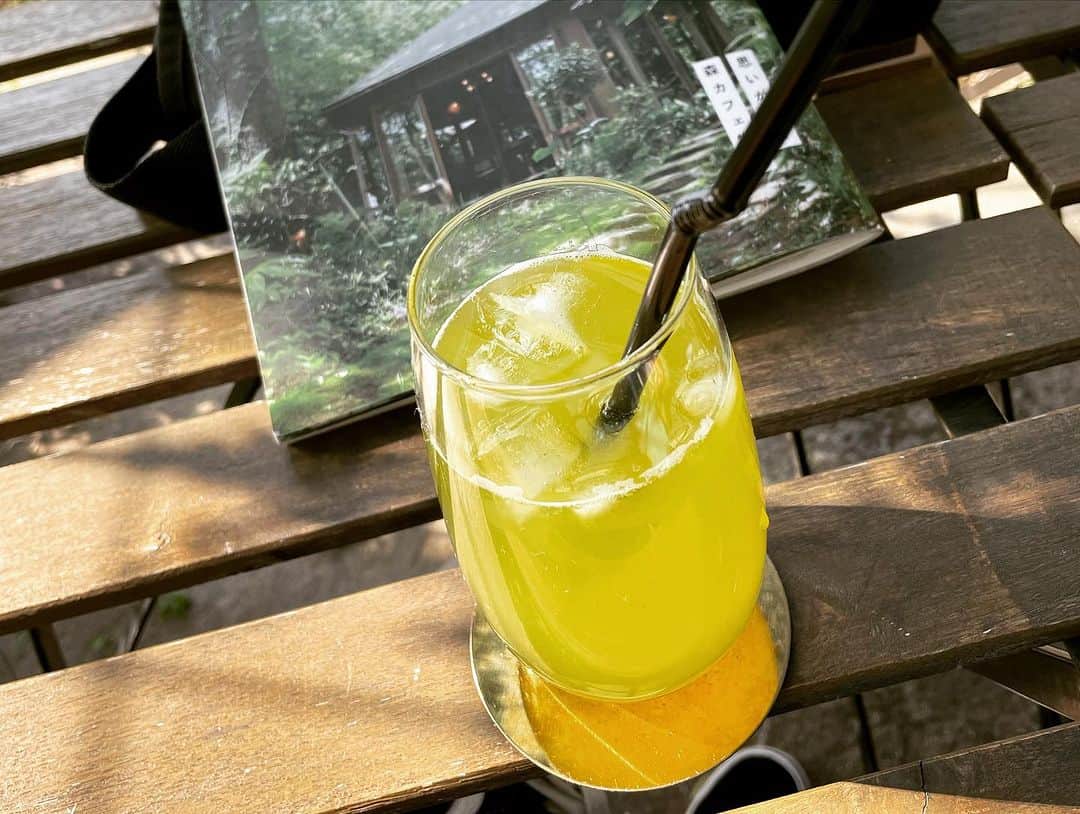 石井元気さんのインスタグラム写真 - (石井元気Instagram)「森のレストランと緑のレストラン  コンプリートシリーズ第6弾  CAFE unautre(島田市)  10種のスパイスと鶏そぼろカレー ￥1200 黒毛和牛ローストビーフ丼 ￥1400 緑茶(アイス) ￥550  迷いすぎてふたつに！！！ (さすがにご飯は少なめにしました。)  カレーは優しい中にもあとからピリッとくる スパイス感！！！  ピクルスも優しいお味でございました。  ローストビーフ丼は柔らかくて美味しかったです！ お肉の味もしっかりでフライドガーリック？が いいアクセント！！！  緑茶は何やら名産らしい。  外席で食べたんだけど天気も最高でした！！！  かなり上位のカフェ！！！！  ガレージ改装した感じの店内。  住みたい。    #森のカフェと緑のレストラン  #CAFEunautre  #島田市  #カレー  #ローストビーフ丼  #カフェ巡りが趣味  #緑茶  #マセキ芸能社  #あきげん  #石井元気」11月24日 21時04分 - genkiishii1226