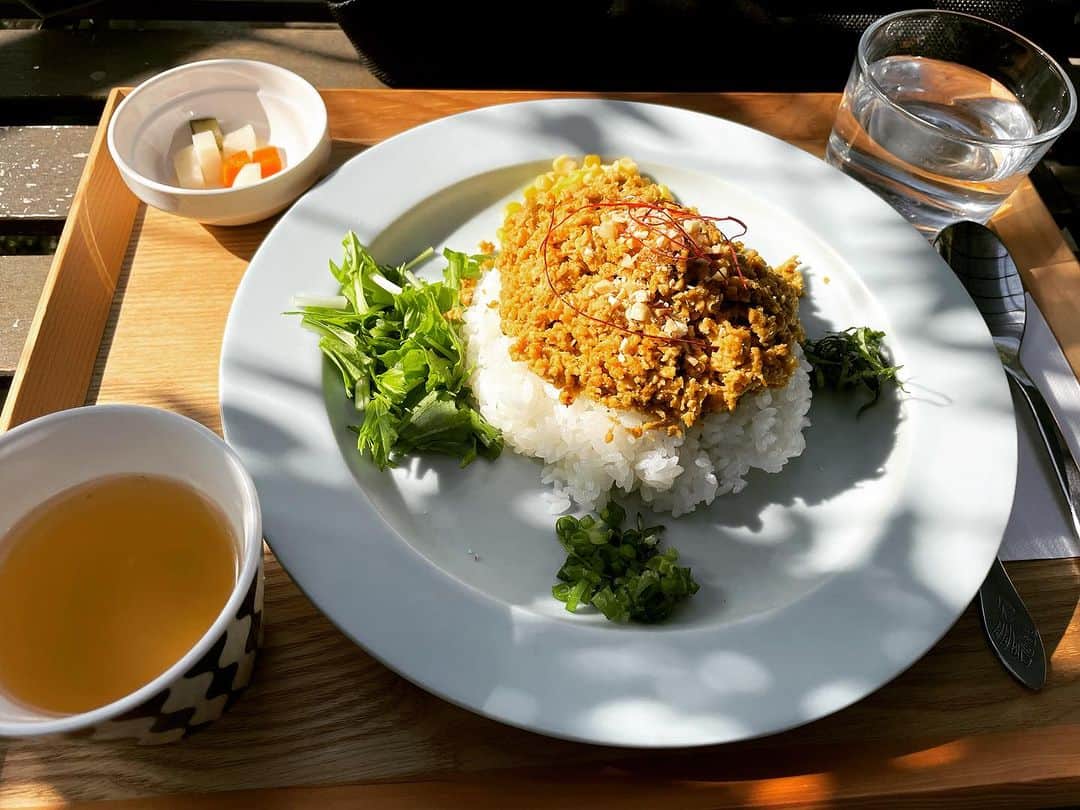 石井元気さんのインスタグラム写真 - (石井元気Instagram)「森のレストランと緑のレストラン  コンプリートシリーズ第6弾  CAFE unautre(島田市)  10種のスパイスと鶏そぼろカレー ￥1200 黒毛和牛ローストビーフ丼 ￥1400 緑茶(アイス) ￥550  迷いすぎてふたつに！！！ (さすがにご飯は少なめにしました。)  カレーは優しい中にもあとからピリッとくる スパイス感！！！  ピクルスも優しいお味でございました。  ローストビーフ丼は柔らかくて美味しかったです！ お肉の味もしっかりでフライドガーリック？が いいアクセント！！！  緑茶は何やら名産らしい。  外席で食べたんだけど天気も最高でした！！！  かなり上位のカフェ！！！！  ガレージ改装した感じの店内。  住みたい。    #森のカフェと緑のレストラン  #CAFEunautre  #島田市  #カレー  #ローストビーフ丼  #カフェ巡りが趣味  #緑茶  #マセキ芸能社  #あきげん  #石井元気」11月24日 21時04分 - genkiishii1226