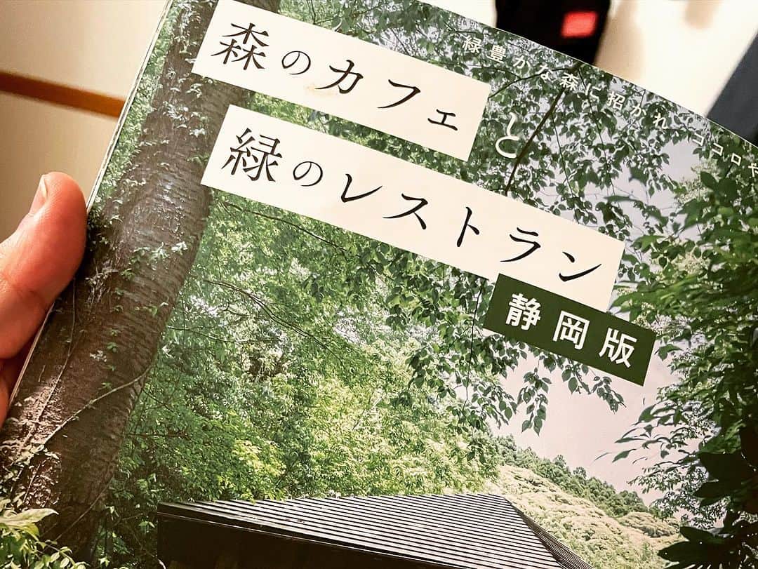 石井元気さんのインスタグラム写真 - (石井元気Instagram)「森のレストランと緑のレストラン  コンプリートシリーズ第6弾  CAFE unautre(島田市)  10種のスパイスと鶏そぼろカレー ￥1200 黒毛和牛ローストビーフ丼 ￥1400 緑茶(アイス) ￥550  迷いすぎてふたつに！！！ (さすがにご飯は少なめにしました。)  カレーは優しい中にもあとからピリッとくる スパイス感！！！  ピクルスも優しいお味でございました。  ローストビーフ丼は柔らかくて美味しかったです！ お肉の味もしっかりでフライドガーリック？が いいアクセント！！！  緑茶は何やら名産らしい。  外席で食べたんだけど天気も最高でした！！！  かなり上位のカフェ！！！！  ガレージ改装した感じの店内。  住みたい。    #森のカフェと緑のレストラン  #CAFEunautre  #島田市  #カレー  #ローストビーフ丼  #カフェ巡りが趣味  #緑茶  #マセキ芸能社  #あきげん  #石井元気」11月24日 21時04分 - genkiishii1226