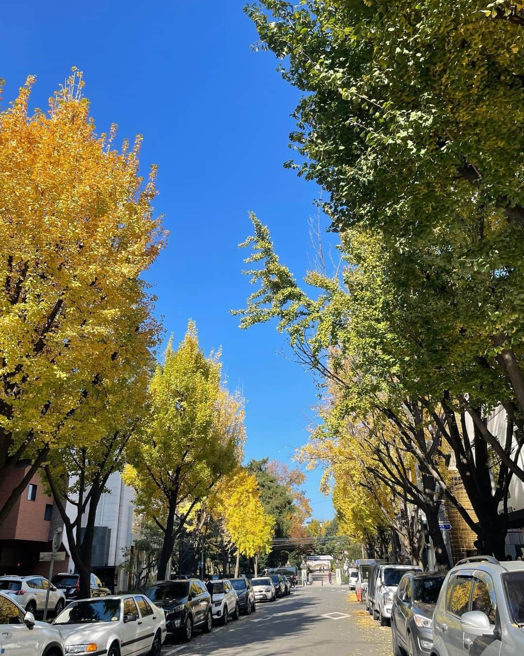 山崎まきこさんのインスタグラム写真 - (山崎まきこInstagram)「Seoul🇰🇷❤️ 最高だった😮‍💨またすぐ行きたい」11月24日 21時09分 - makiko_yamazaki