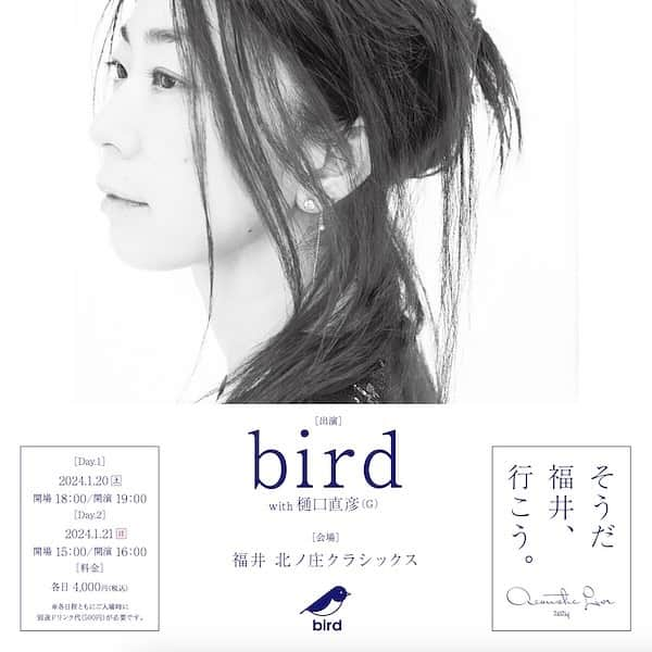 birdのインスタグラム