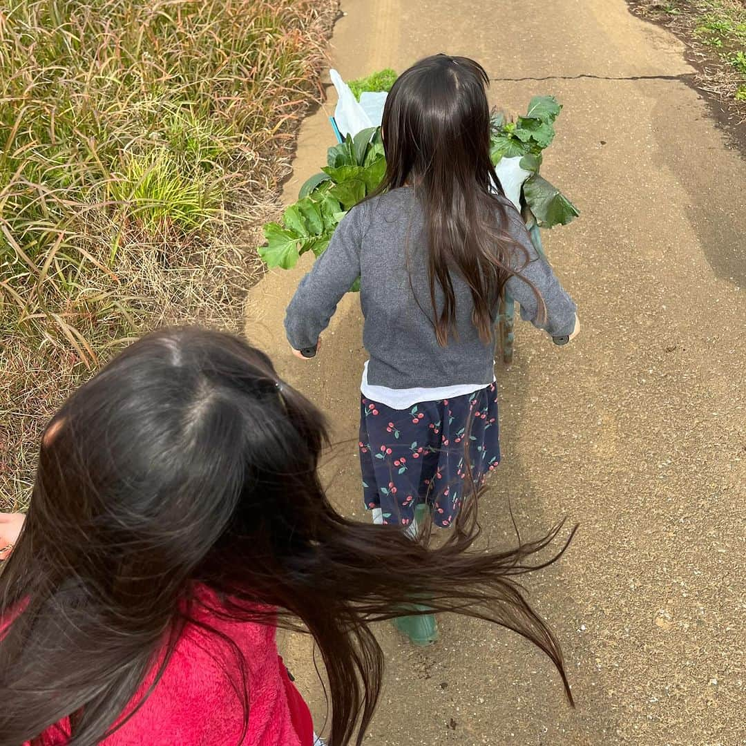 東尾理子さんのインスタグラム写真 - (東尾理子Instagram)「冬野菜の収穫へ🥕 冬野菜の方がトランクがいっぱいになる😁  ブロッコリーとキャベツはもう少し🥦  自分で収穫した野菜、たくさん食べて欲しいな、、、（願望）  #子育て #八街ふれ愛オーガニックファーム」11月25日 7時24分 - rikohigashio