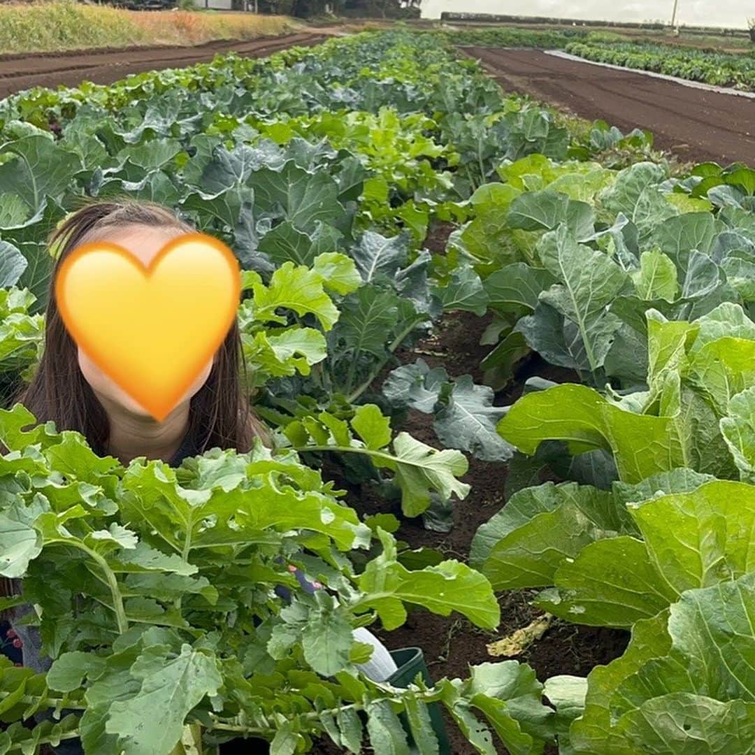 東尾理子さんのインスタグラム写真 - (東尾理子Instagram)「冬野菜の収穫へ🥕 冬野菜の方がトランクがいっぱいになる😁  ブロッコリーとキャベツはもう少し🥦  自分で収穫した野菜、たくさん食べて欲しいな、、、（願望）  #子育て #八街ふれ愛オーガニックファーム」11月25日 7時24分 - rikohigashio