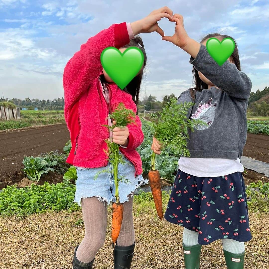 東尾理子さんのインスタグラム写真 - (東尾理子Instagram)「冬野菜の収穫へ🥕 冬野菜の方がトランクがいっぱいになる😁  ブロッコリーとキャベツはもう少し🥦  自分で収穫した野菜、たくさん食べて欲しいな、、、（願望）  #子育て #八街ふれ愛オーガニックファーム」11月25日 7時24分 - rikohigashio