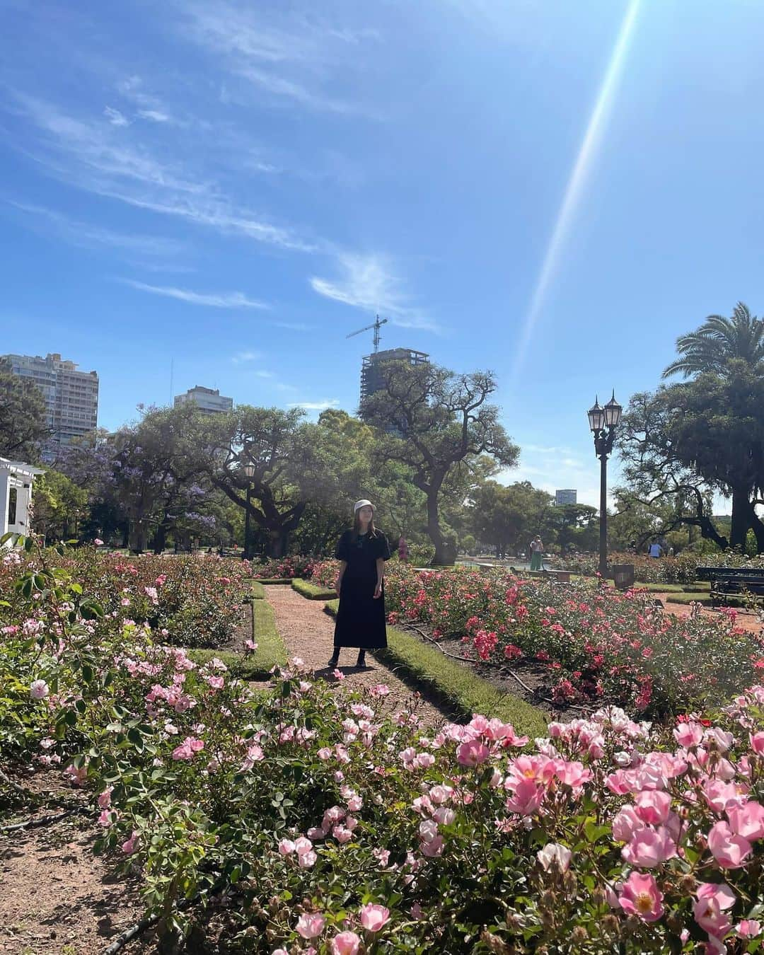 城妃美伶のインスタグラム：「今日はなんだかとても素敵な一日💓  早起きして、東京で集まっていらっしゃる退団同期の会にオンラインで参加  そして図らずも、こんな素敵な薔薇のお庭に導かれるように迷い込んだ…🌹  4年前の今日（アルゼンチン時間笑）私は素敵な妖精がいる薔薇のお庭にいて、そしてその場所から新たな人生へと旅だった。  今の私を作ってくれた特別な場所 そこで出会った素敵な人たち  今を生きる私の いつまでも変わらない宝物  #退団同期 #生存確認 #今年も  #afailytale青い薔薇の精 #シャルム #花組 #薔薇」