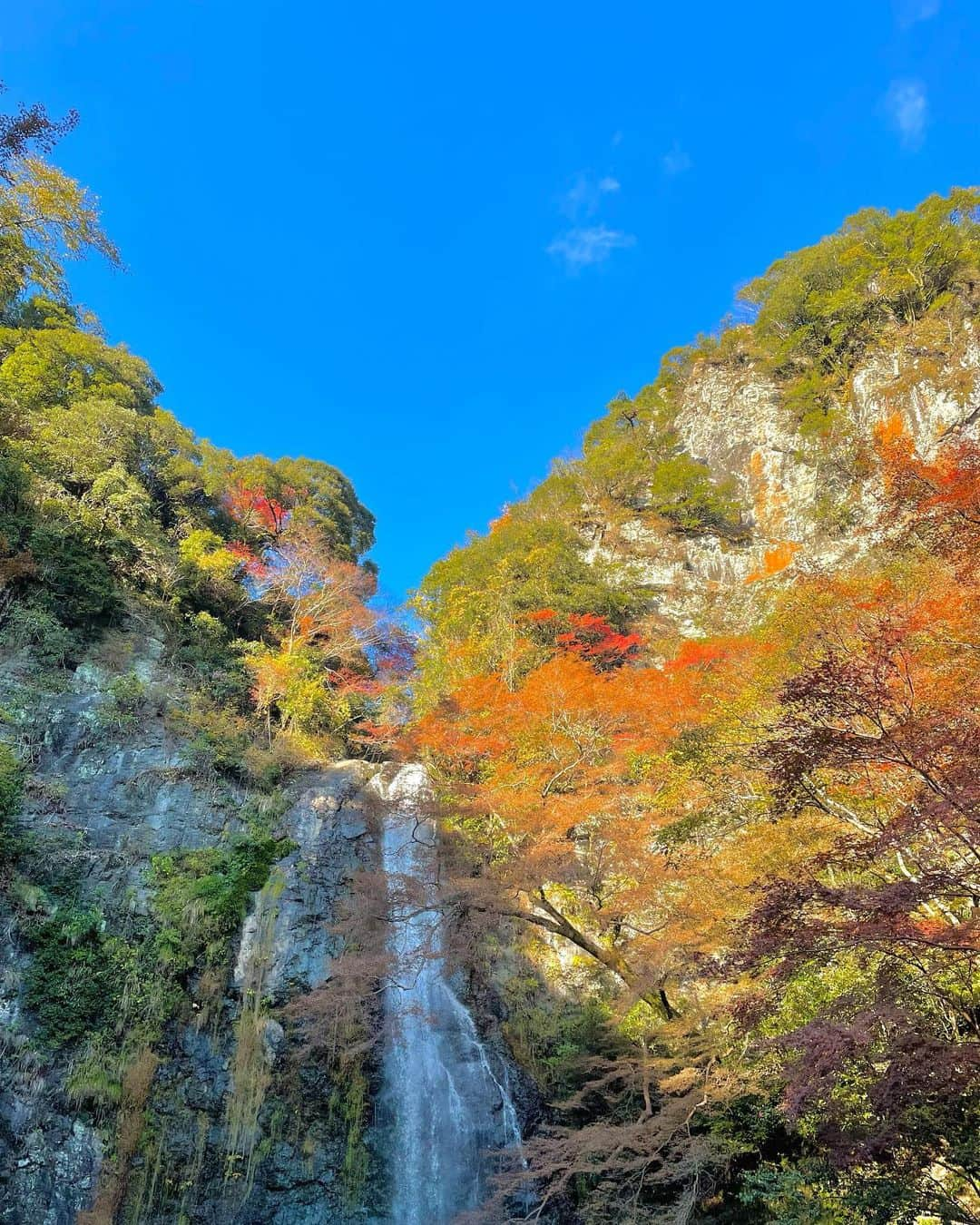 友廣南実さんのインスタグラム写真 - (友廣南実Instagram)「・ 箕面の滝へ行きました🍁  紅葉がちょうど見ごろを迎えていたので、 1時間の山登りもへっちゃらでした☺️☺️ 週末にぜひ👏✨  #箕面の滝 #箕面」11月24日 22時57分 - minami_tomohiro_