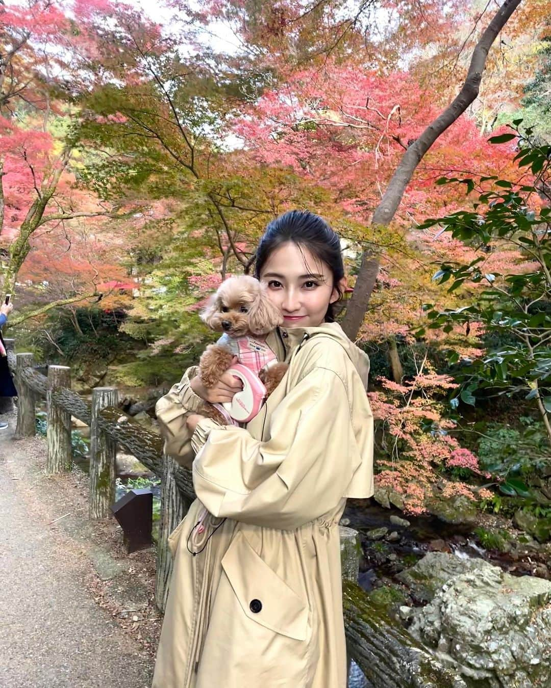 友廣南実さんのインスタグラム写真 - (友廣南実Instagram)「・ 箕面の滝へ行きました🍁  紅葉がちょうど見ごろを迎えていたので、 1時間の山登りもへっちゃらでした☺️☺️ 週末にぜひ👏✨  #箕面の滝 #箕面」11月24日 22時57分 - minami_tomohiro_