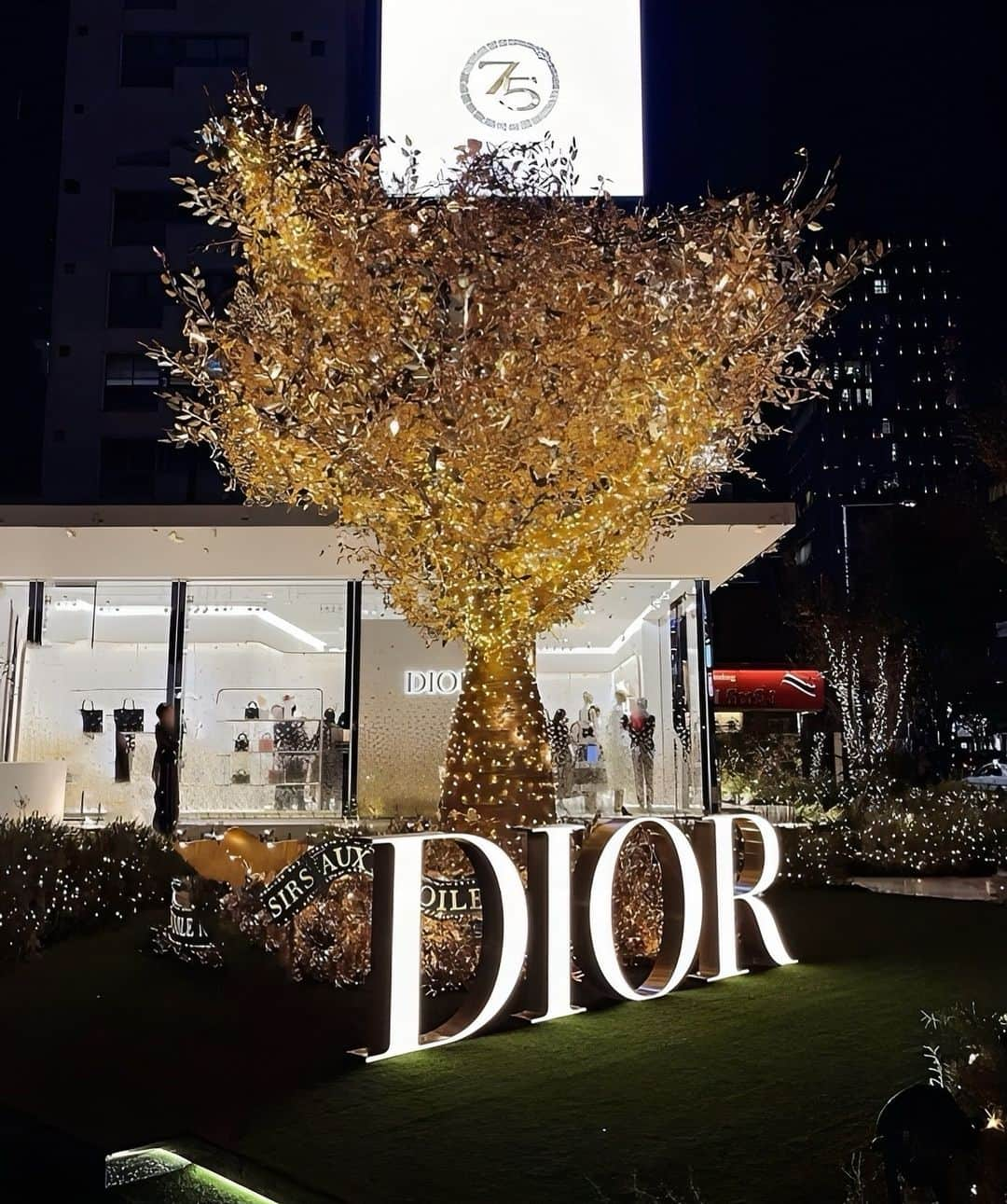 稲川千里さんのインスタグラム写真 - (稲川千里Instagram)「beautiful🦋✨ @dior」11月24日 23時07分 - chiicamera