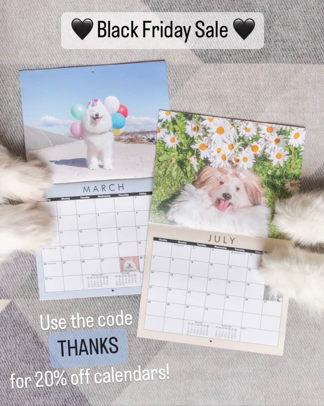 Loki the Corgiのインスタグラム：「Use the code THANKS for 20% off our 2024 calendar! Each calendar comes with bonus Bear & Momo stickers (while supplies last) 🐻‍❄️🐶 Order at www.lokiandfriends.com/calendar (link in bio) ❤️」
