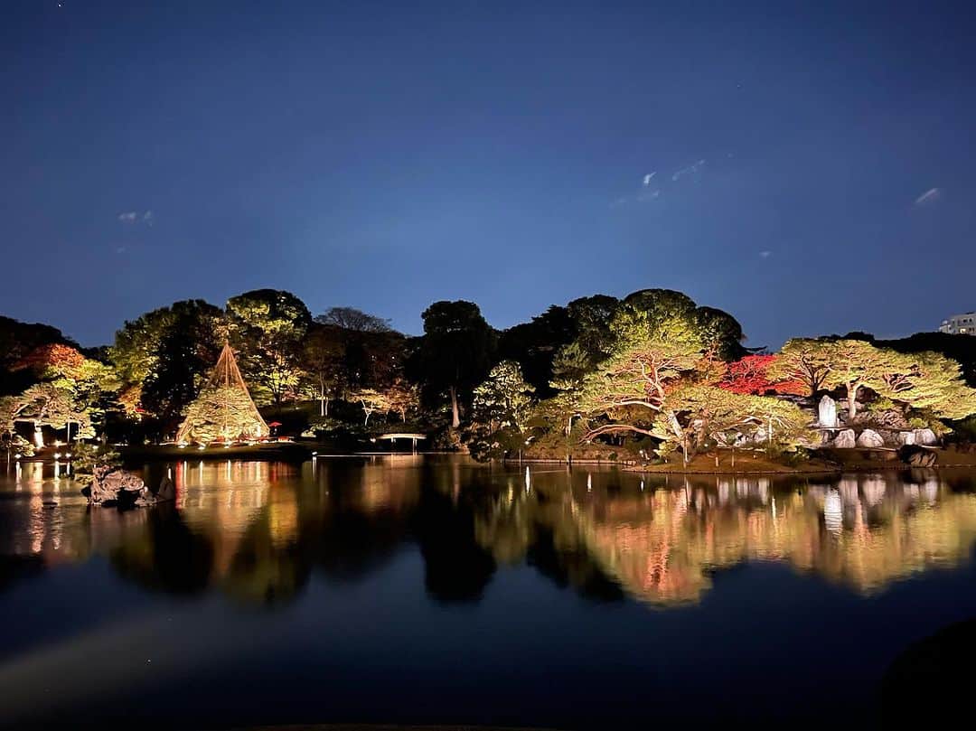 木本泉さんのインスタグラム写真 - (木本泉Instagram)「- "六義園"  🍁🍁🍁  夜の拝観へ。  真っ暗な中で見る紅葉は情緒があったな😌  母と「京都とはまた雰囲気違うね〜」と会話しながら。 綺麗だなーとしんみり観ていたらw、スマホを忘れました🥲  帰り道に気付いて良かった😮‍💨そして、あって良かった。 届けて下さった方、ありがとうございます🤲  #東京紅葉#紅葉#紅葉狩り#六義園」11月24日 23時50分 - izumikimoto