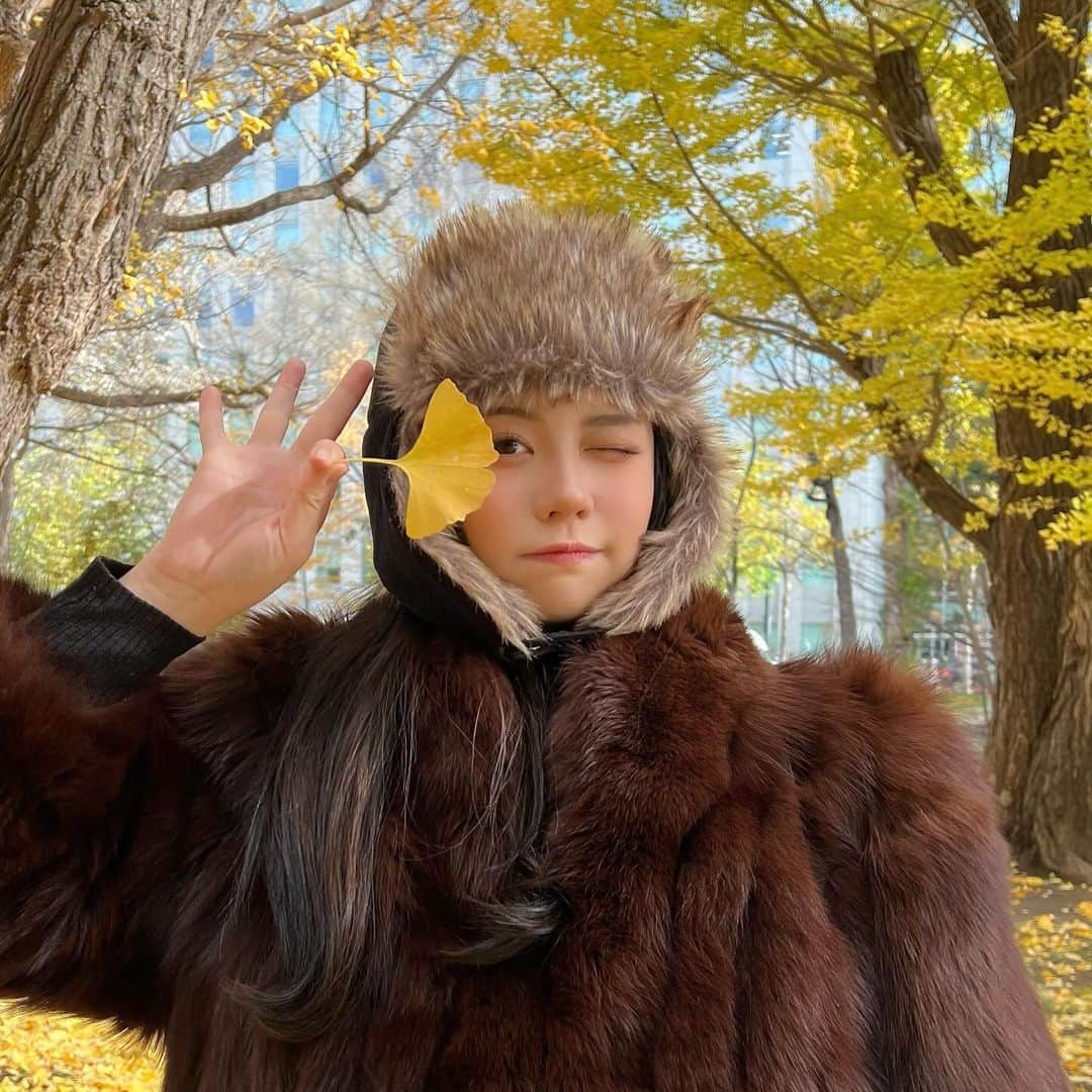 のインスタグラム：「➰🍂🍁‎北海道でほぼ熊さんコーデ🐻‍ 中野さん(中野に住む加藤さん(親戚の叔母さん))から頂いたファーコートと妹がお貸しくださったお帽子 ふわふわでたのちかった、街中で熊さんに遭遇 ホテル帰ったら熊に人間が襲われる事件、札幌で多発しておりますと櫻井翔くんが全国ニュースでお話されていて、ピンポイントで札幌にいた私びっくりした。 銀杏の葉っぱ、かわいかったな」