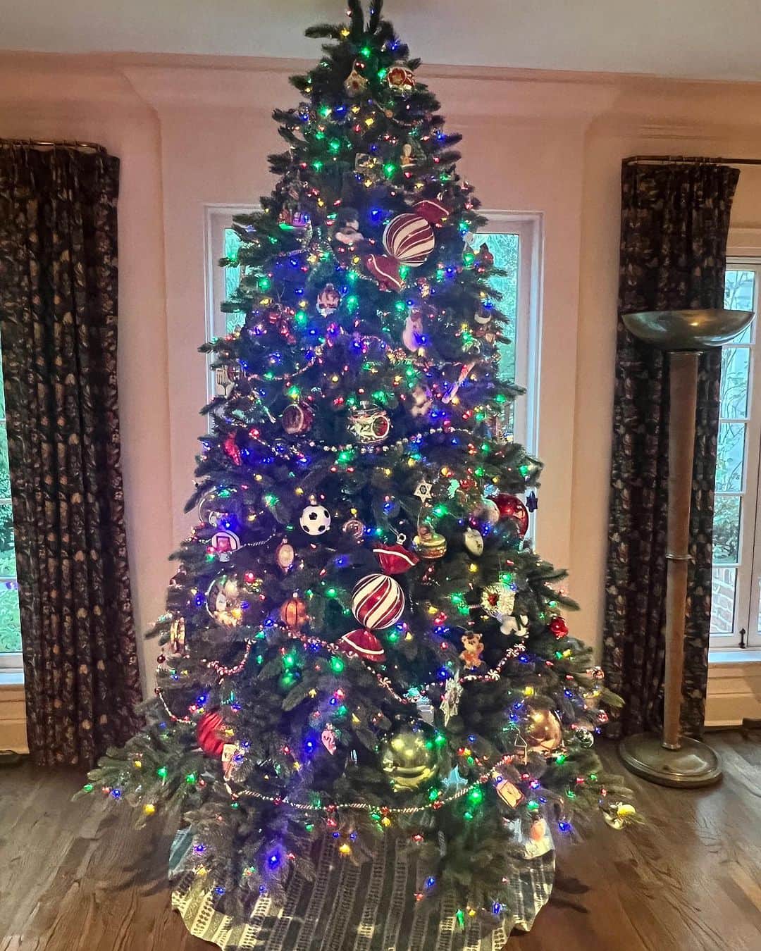 ケイシー・ウィルソンのインスタグラム：「Enough is enough. It’s time. 2 trees of 6 shown. “Hero tree” as @iamkulap calls it and and office tree. I’m deeply unwell!」