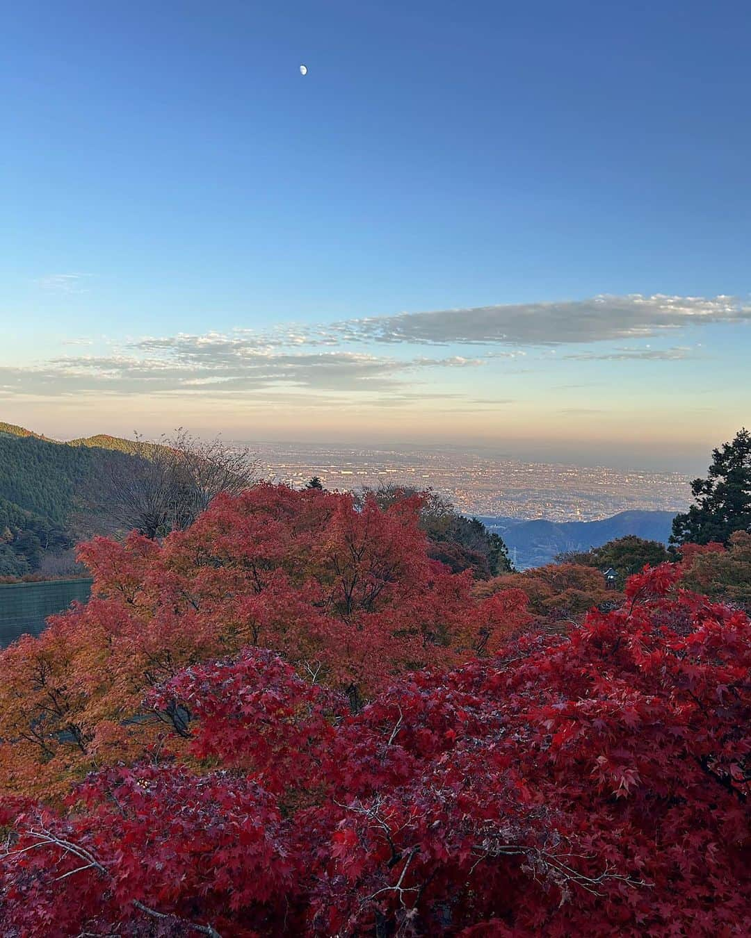 REONAさんのインスタグラム写真 - (REONAInstagram)「修学旅行気分で朝8時集合して紅葉狩り🍁 想像より混んでたし行き着くまで大変だったけどそれ以上にいい景色がみれたし自然はやっぱり癒される🌱😍  みんなで手繋いで下山したのもいい思い出⛰️🥹❤️」11月25日 0時06分 - reona.0504