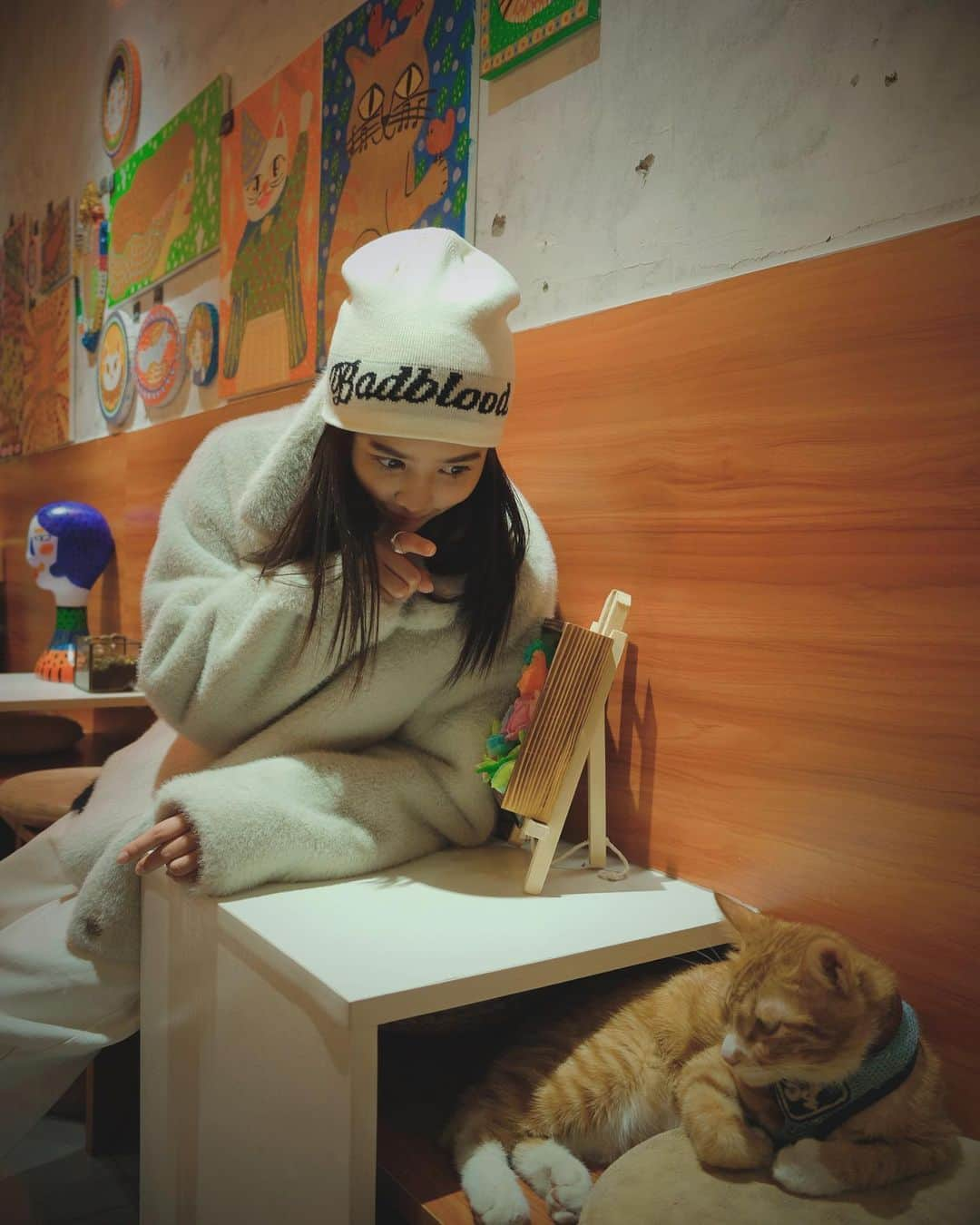 ウェンジャさんのインスタグラム写真 - (ウェンジャInstagram)「🐈🌅❄️」11月25日 0時44分 - xdoudou97