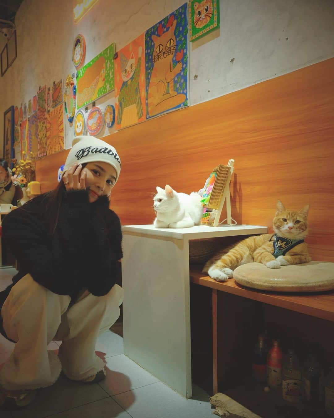 ウェンジャのインスタグラム：「🐈🌅❄️」