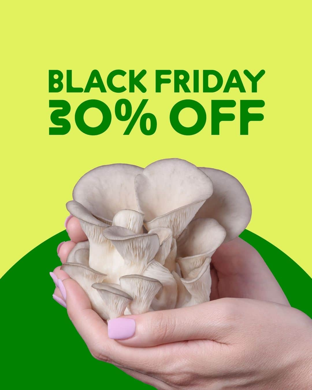 ウィズ・カリファのインスタグラム：「#BlackFriday just got a whole lot more FUNgi 🍄  Use code: BF30 at checkout for 30% off your order 💫」