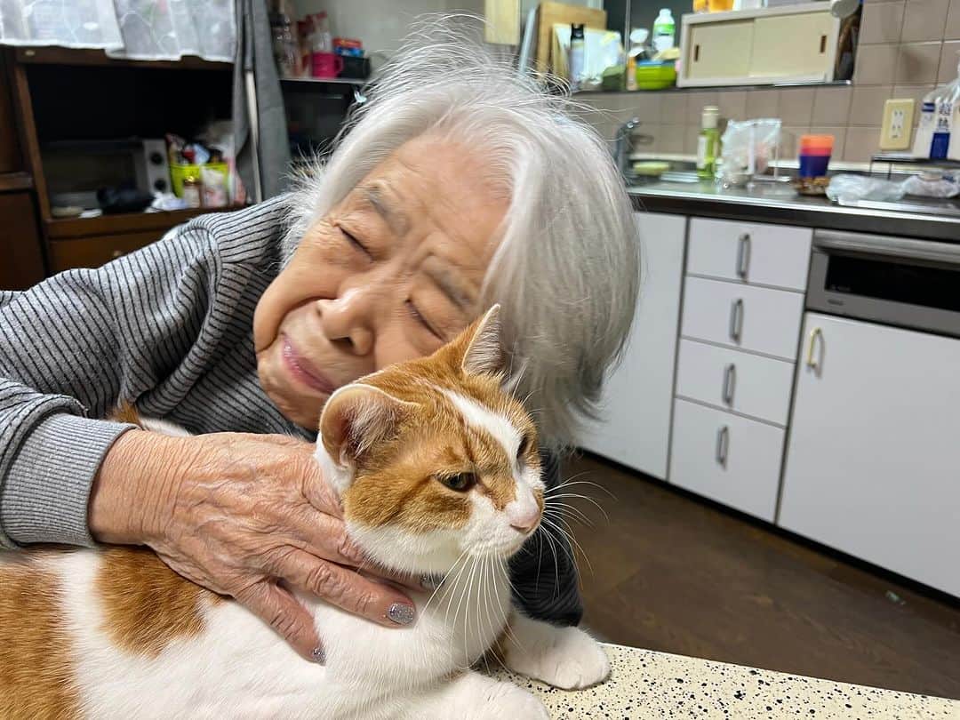 Kachimo Yoshimatsuのインスタグラム：「バーバとおいちゃん｡ すきすき〜！  #うちの猫ら #猫 #ねこ #ニャンスタグラム #バーバと猫 #oinari #にゃんすたぐらむ #ねこのきもち #cat #ネコ #catstagram #ネコ部 http://kachimo.exblog.jp」