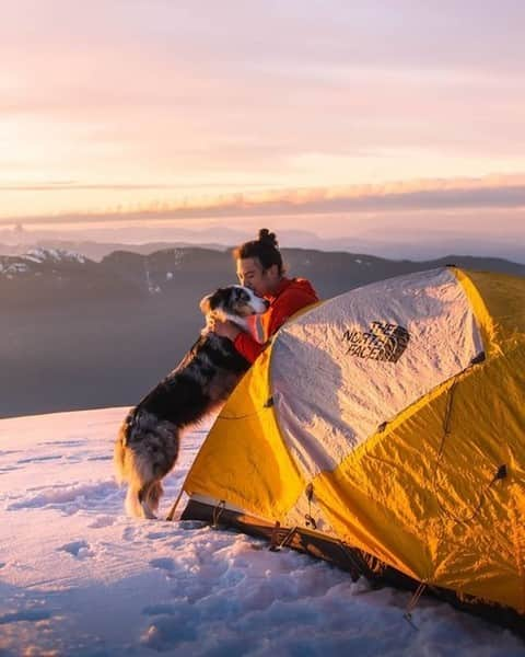 ザ・ノースフェイスさんのインスタグラム写真 - (ザ・ノースフェイスInstagram)「Phone off, nature on. #OptOutside   📸: @tennebird, @kjell_kilic, @dansviewfinder_, @jea_srd」11月25日 2時34分 - thenorthface