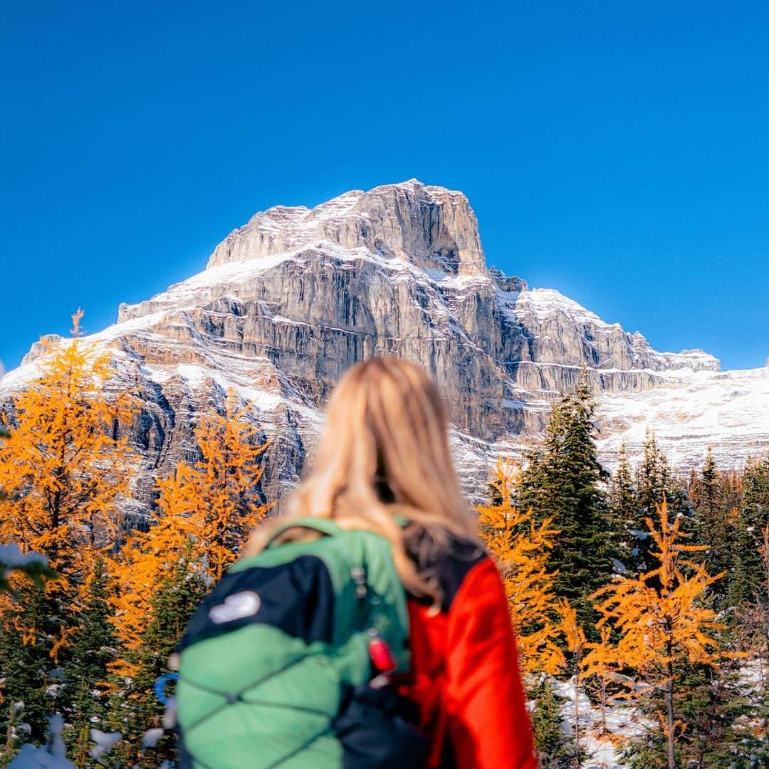 ザ・ノースフェイスさんのインスタグラム写真 - (ザ・ノースフェイスInstagram)「Phone off, nature on. #OptOutside   📸: @tennebird, @kjell_kilic, @dansviewfinder_, @jea_srd」11月25日 2時34分 - thenorthface