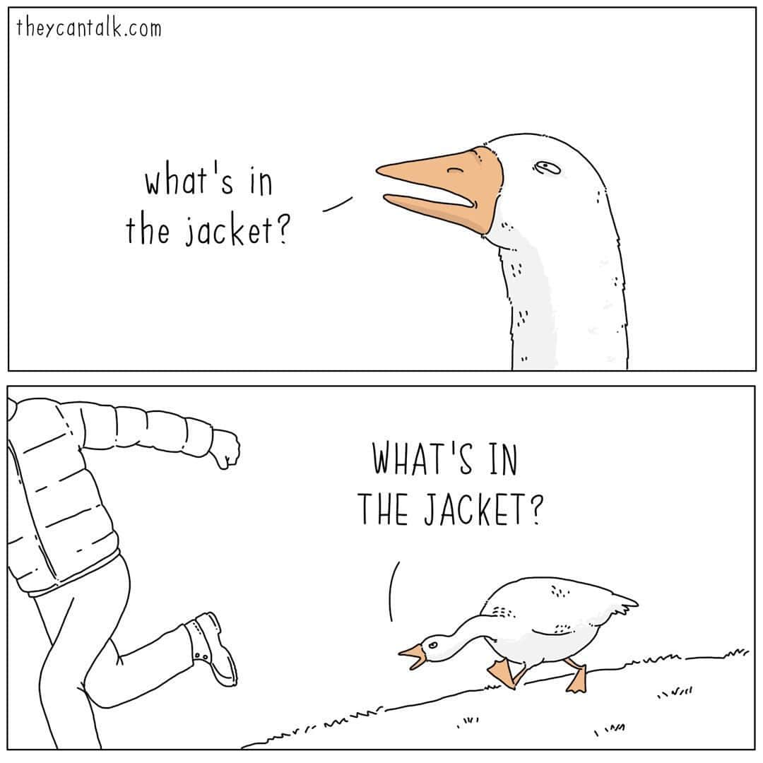 9GAGのインスタグラム