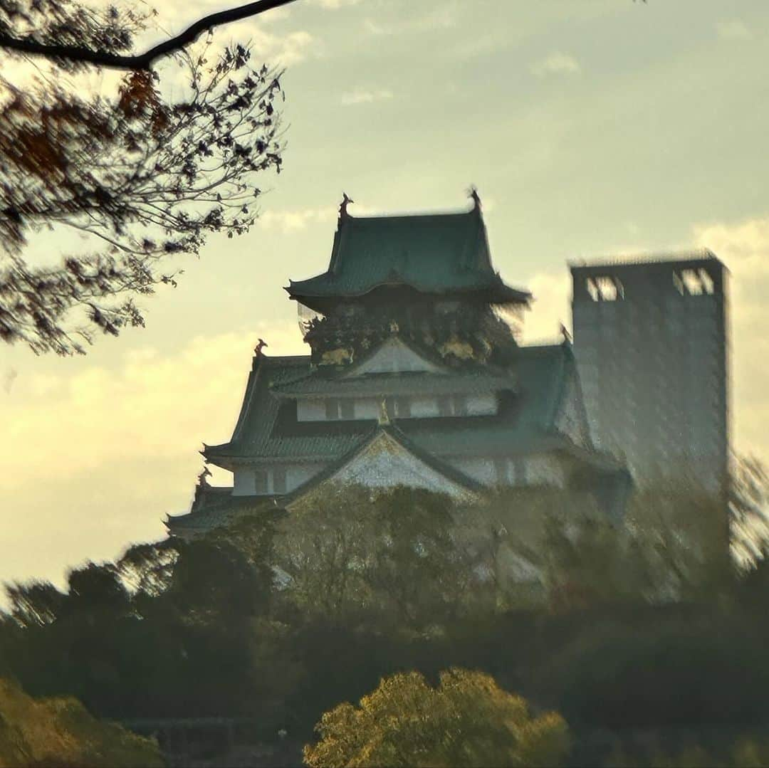 澤野井香里さんのインスタグラム写真 - (澤野井香里Instagram)「秋の#うろこ雲 と#銀杏 のコントラストがとってもキレイ✨  カラフルな秋のお散歩☺️🍂♡  #ks_23✨ #ks_osaka✨ #大阪 #大阪城公園  #大阪城 #大阪城天守閣 #秋 #秋の空 #秋の風景 #公園 #お散歩 #紅葉 #🍁 #🏯」11月25日 4時52分 - kaori_sawanoi