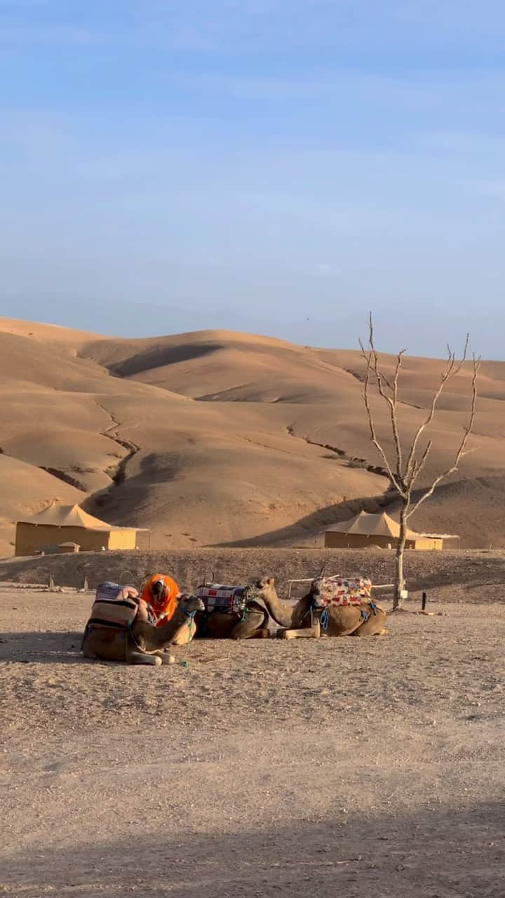 CABINZEROのインスタグラム：「— had the best time exploring Agafay Desert 🐪   . . . 📍 Selina Agafay @selina   . . . #travelgirls #travelblogger #traveladdict #traveladdiction #traveladventures #adventuregirl #adventuregram #morocco #marrakech #agafaydesert #agafay #desert #desertvibes #dune #dunes #fyp #desertlandscape #cabinzero #backpack #travellight #travellifestyle #nomadlifestyle #desertcamp #adventure #lifestyle #fashiontravel #fashionstyle #style」