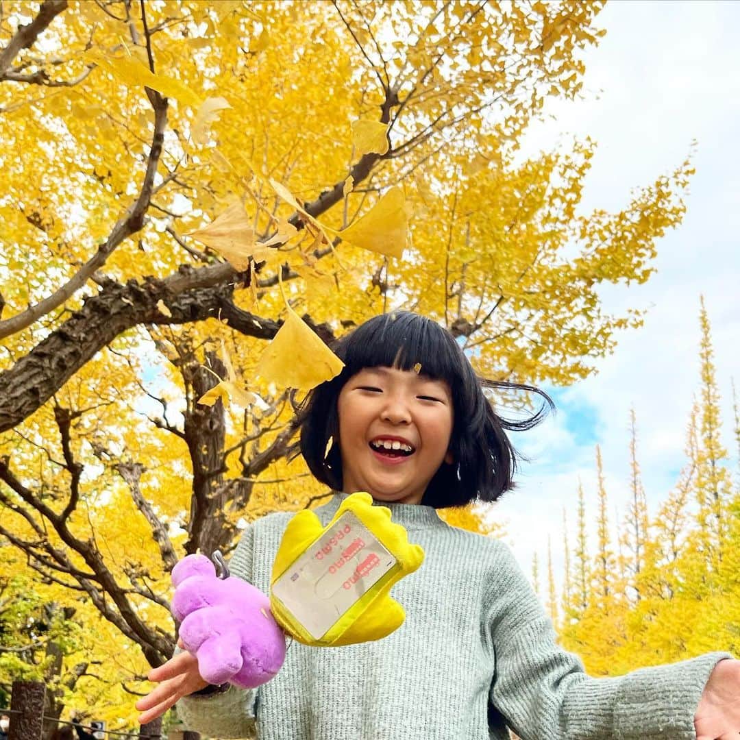 新井美穂さんのインスタグラム写真 - (新井美穂Instagram)「娘と毎年恒例の「外苑前銀杏並木」へ✨✨  大好きなこの黄金色の銀杏並木を歩くのも、  娘をなんとか必死で肩車できるのも（笑）  きっと今年で最後だろうなぁ。  屋台で日本酒ひっかけ、ほろ酔い気持ちの良い紅葉狩りでしたー（笑） #娘7歳5ヶ月」11月25日 15時58分 - arai_miho