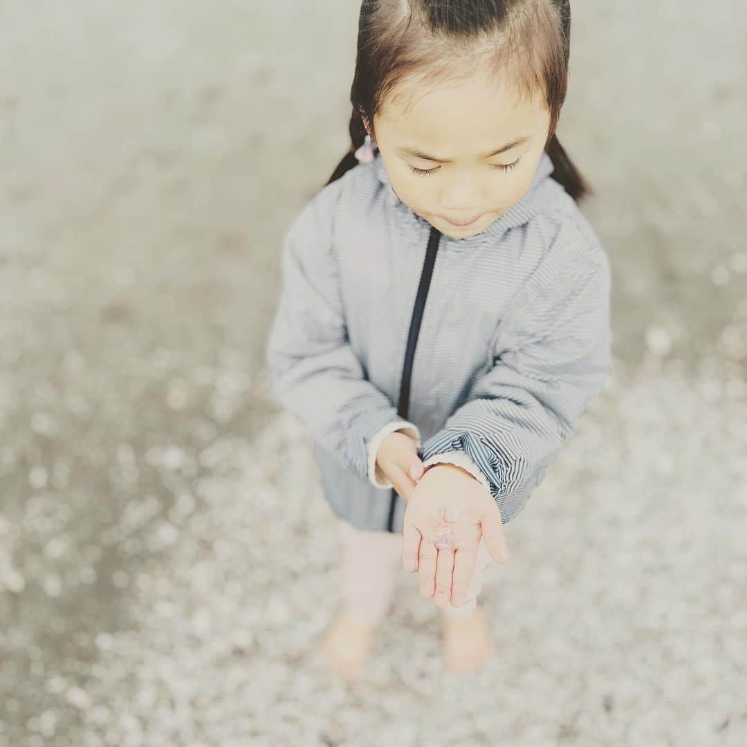 KIKIさんのインスタグラム写真 - (KIKIInstagram)「さくらがい日和🐚✨ ぐんと気温は下がったけれど 海の水は温い 波打ち際を 貝を拾いながら裸足でお散歩」11月25日 16時11分 - kiki_campagnepremiere