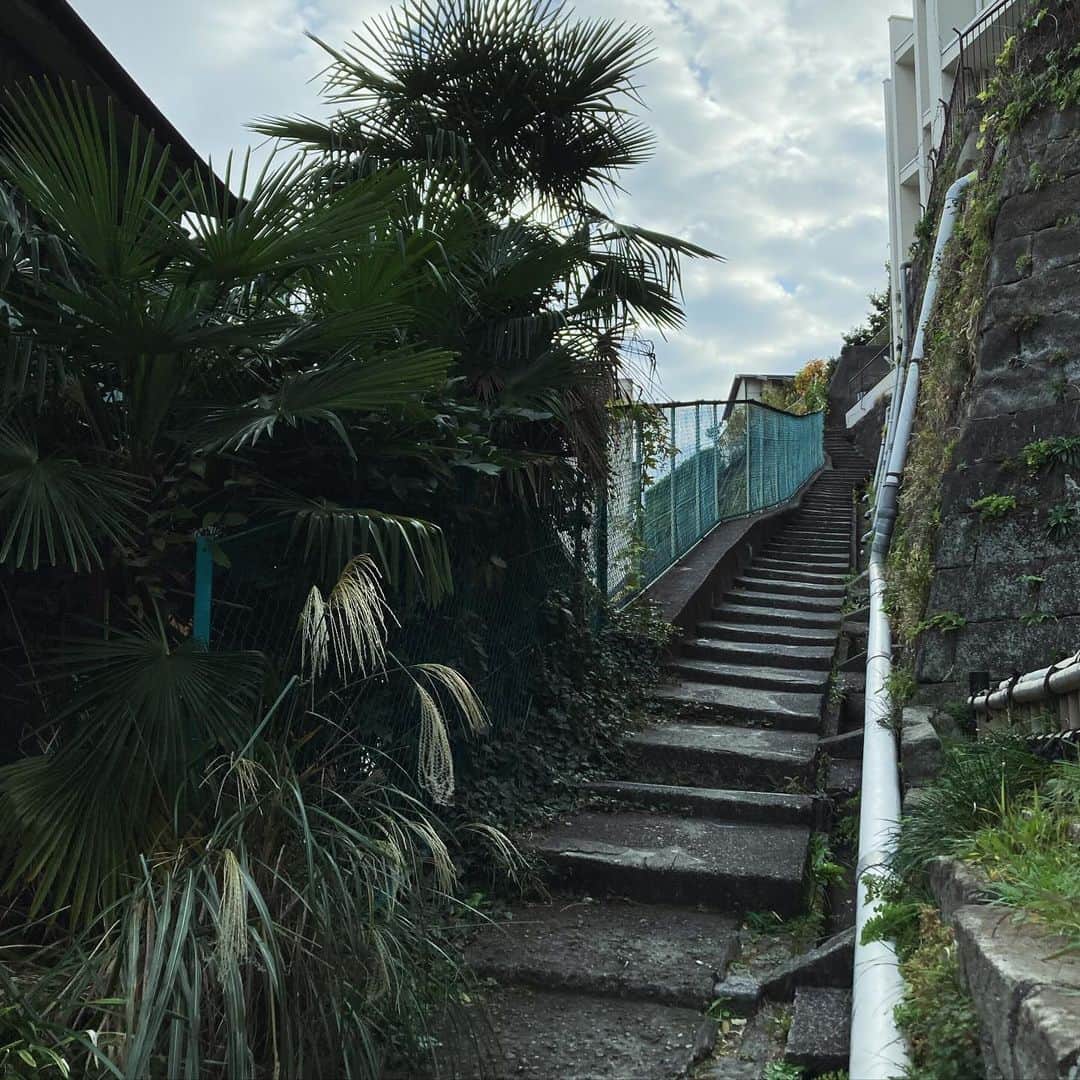 櫻井リヤのインスタグラム：「いい名前のバーだ　#階段#スリバチ#野毛山」