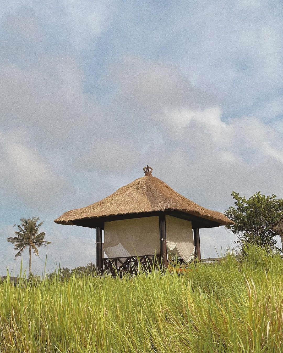 ニオミ・スマートさんのインスタグラム写真 - (ニオミ・スマートInstagram)「An oasis, safe space, haven in the middle of the rice paddy that I’ve been visiting every morning this week. A place to ground, connect, reflect. Wow what a different being immersed in nature makes. We recently moved villa, and despite the upheaval again and the chaos of moving, it feels so good to be rewarded with such peace. It has been a reminder to me that often we’ll experience an uphill challenge before we achieve and receive the end desired goal. This is obviously such a small example of that, but I feel it can be applied to many aspects of life.  We can manifest and dream all we want, but we need to be prepared to put in the work and take action too.  Often it’s the smallest step forward that creates the catalyst for change.  I don’t know what you’re working on right now or where you’re setting your intentions, but know you’ve got this. A dream is already the first step. Belief is the next.  A reminder that tomorrow night / Monday morning is a full moon - the perfect opportunity to reflect on this 🌝🪷.」11月25日 16時27分 - niomismart