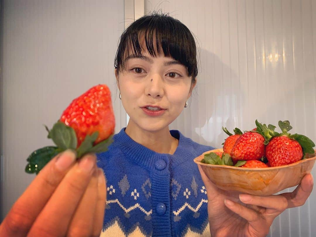 長沢裕さんのインスタグラム写真 - (長沢裕Instagram)「… お誕生日にいちごが届きました〜🍓 昨年末に登場したばかりの『ゆうやけベリー』 香りが高く甘〜い大粒のいちごです！ 果汁もたっぷりで一口かじれば至福のひとときへ トリ〜〜〜ップ。  これからも福島のうんめ〜もんと共に益々成長していけるよう、精進して参ります。  #ゆうやけベリー#福島プライド#いちご#うめもん #勤労感謝の日#誕生日」11月25日 16時41分 - nagasawa_yu