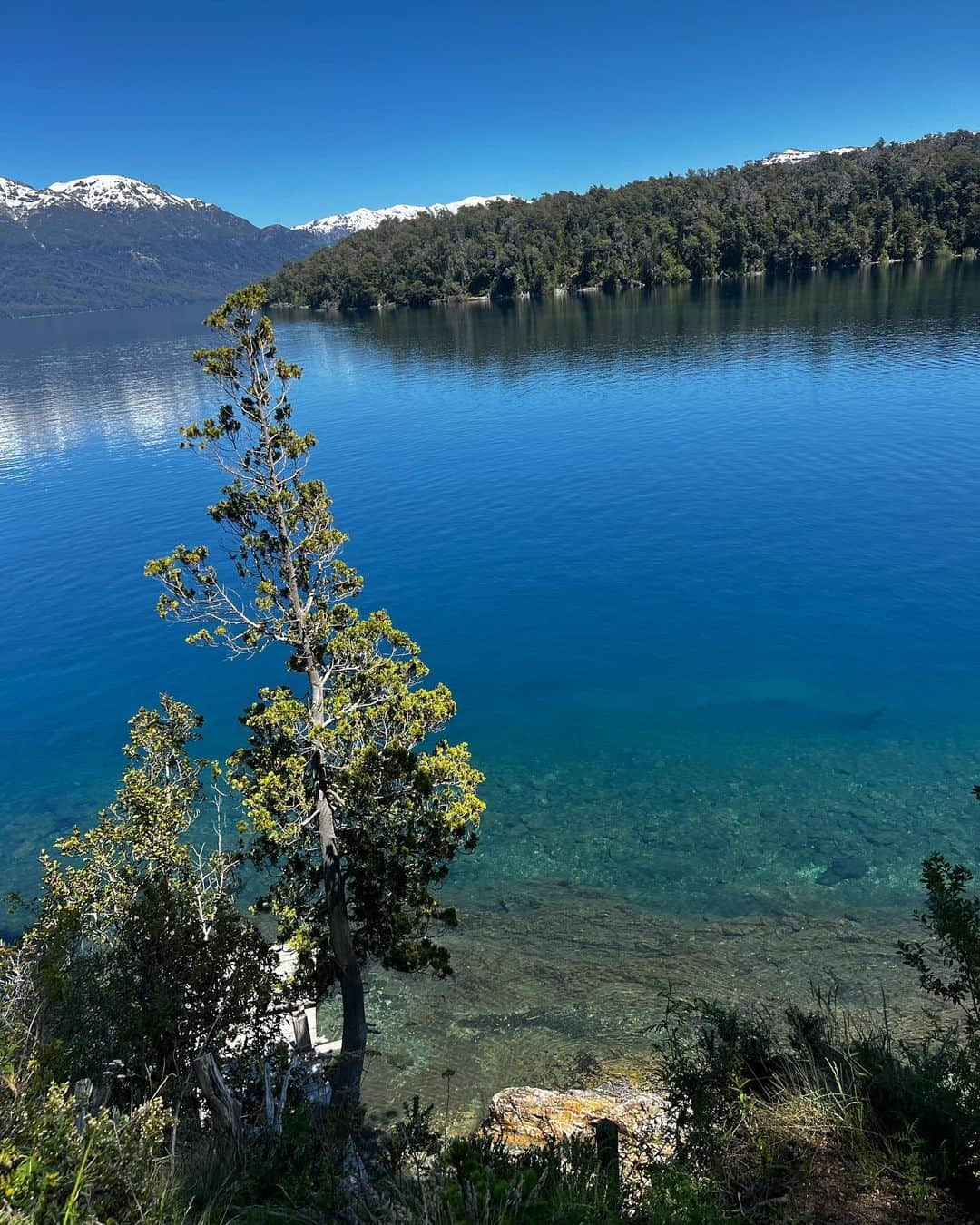 ディエゴ・シュワルツマンさんのインスタグラム写真 - (ディエゴ・シュワルツマンInstagram)「Rincones 📍🇦🇷 el bolsón, el hoyo, epuyen, la angostura」11月25日 8時56分 - dieschwartzman