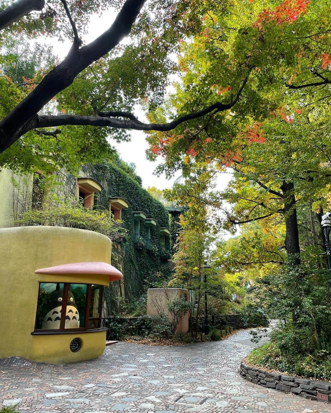 ありす & まりあのインスタグラム：「Good morning from Ghibli Museum 🌳 #tokyo」