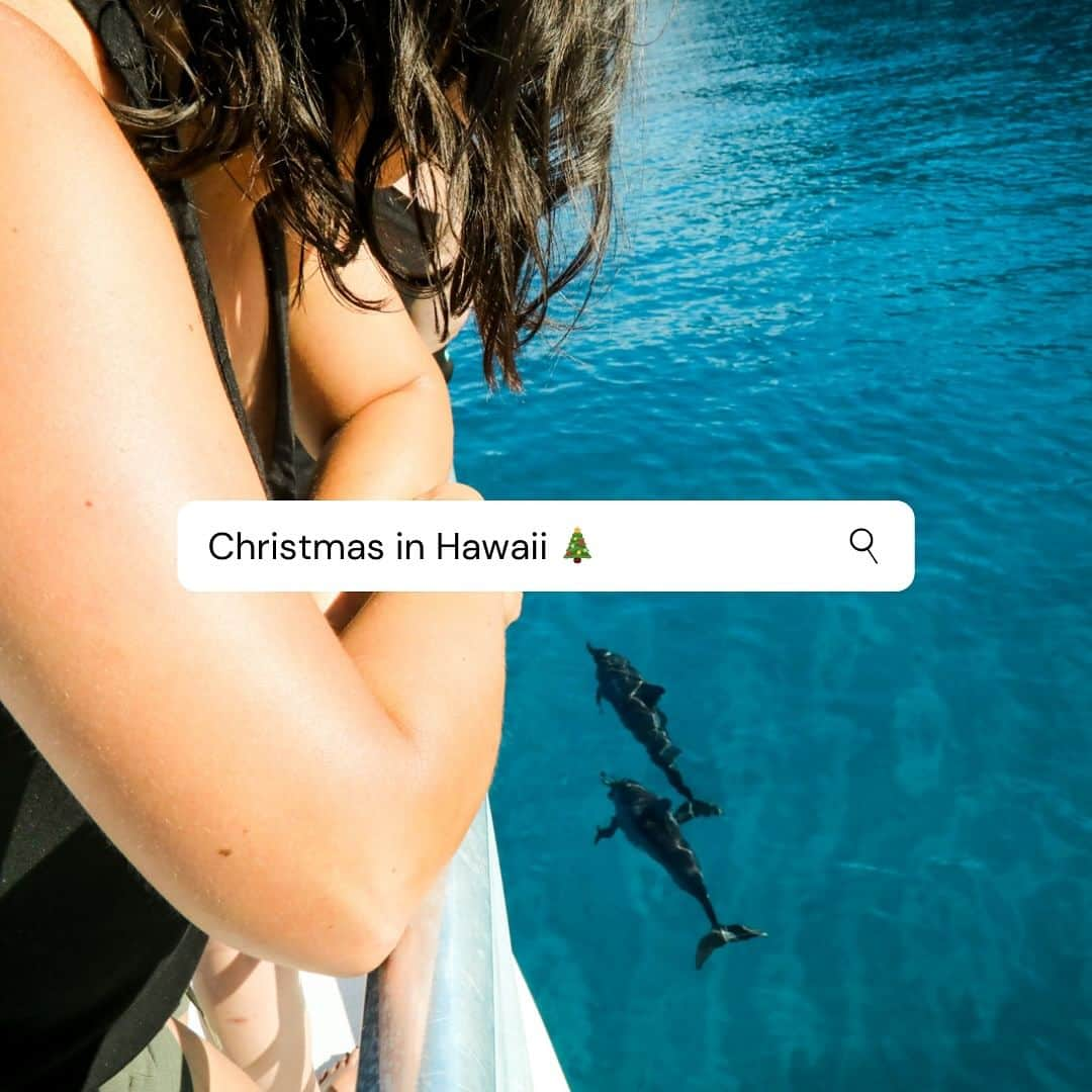 And Youのインスタグラム：「Now that Thanksgiving has passed we can now officially say it’s Christmas Season! Dolphin watching, snorkeling and kayaking in Hawaii = the perfect gift 🎁🎄🎅 • • #christmashawaii #hawaii #oahuhawaii #adventurehawaii #dolphinsandyou #hawaiiadventures #turtle #spinnerdolphins #thingstodo #thingstodohawaii」