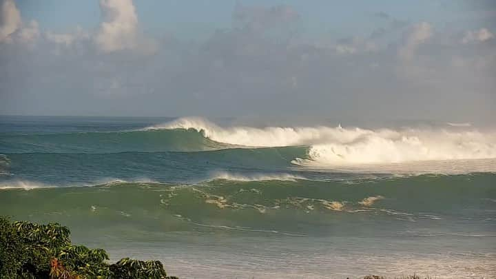 surflineのインスタグラム：「A lot of people are going to compare today to the Eddie swell January 22nd, 2023. Our take: Not quite but close. Very different swells. Eddie swell was a little shorter in interval and held at 20’+ for longer. This swell peaked overnight with longer interval but didn’t stay at 20’ for long.Swell from the Eddie was also much more favorable for size at Waimea with the storm being significantly closer.  We went the extra mile and pulled the buoy numbers from swell events when the Waimea buoy clocked at least 20’@20(dating back to 2004):  Nov 24, 2023: 20.7ft@20 from 324°	 Feb 25, 2016: 21.9’ @ 20 sec from 317 Jan 22, 2014: 21.6 @ 20 sec from 310 Mar 8, 2005: 19.6’ @ 20 sec from N/A  Click the link in bio for what this swell will do as it makes its way to California.」