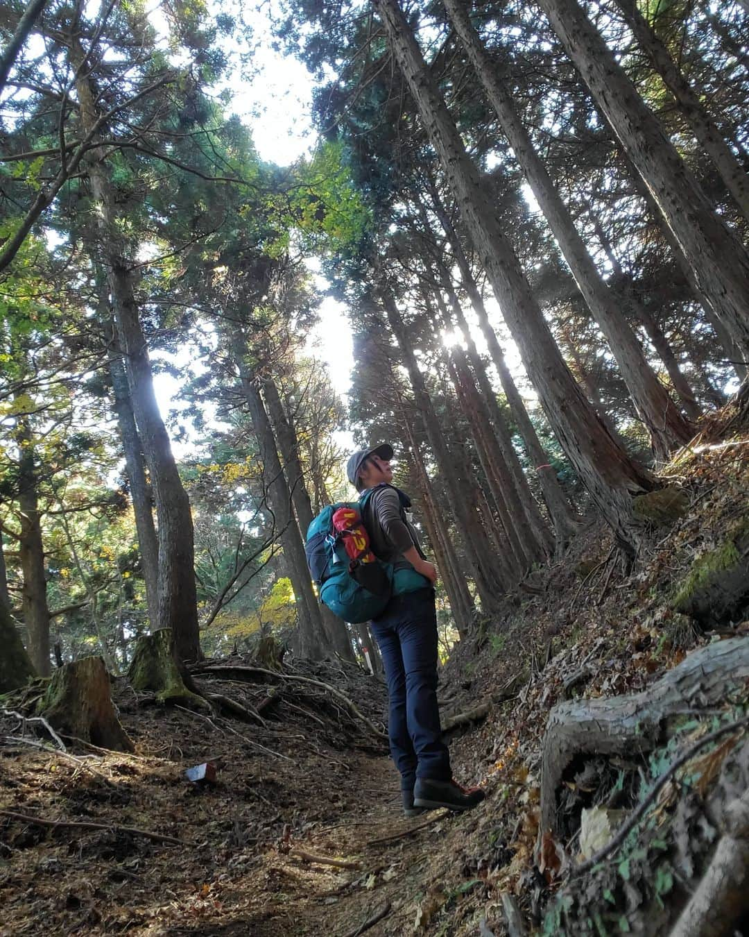 加藤ツバキさんのインスタグラム写真 - (加藤ツバキInstagram)「大山阿夫利神社からはだの富士見の湯へ 朝早いバスで大山ケーブルバス停に到着したのでケーブルカーはまだ運転前🥲階段祭りな参道を登ります 燃えるような赤に染まった葉が美しい🍁 富士見平からは富士山が🙌 大山山頂に着いてもゆっくりしている暇はナシ！ ここからはだの富士見の湯までは10kmほどの距離を縦走するのです。のんびり歩いてたら日が暮れちゃうので小走りです笑 大山山頂までは人多かったけどこの道はたまーに人に出会う程度。最近このあたりも熊目撃情報あるので鈴を鳴らしたり手をたたいたり、たまに歌ってみたりとあの手この手で人間アピールをしながら進みます🏃 久々のロングコースで14kmほど歩きましたがやっぱり楽しい！ 無事熊ともバッティングせず、はだの富士見の湯に到着 お風呂のあとはこれですね🍺餃子と唐揚げのわんぱくコンビで攻めてみました😏うっすら富士山見えるのおわかりいただけただろうか…  今年は紅葉見られないかなと思ってたのでとても嬉しい！ よい山旅でした🙆💛  おつかれやま🏞️  #大山 #大山阿夫利神社 #高取山 #はだの富士見の湯 #山活  #富士山ビュースポット」11月25日 9時19分 - katotsuba_desu