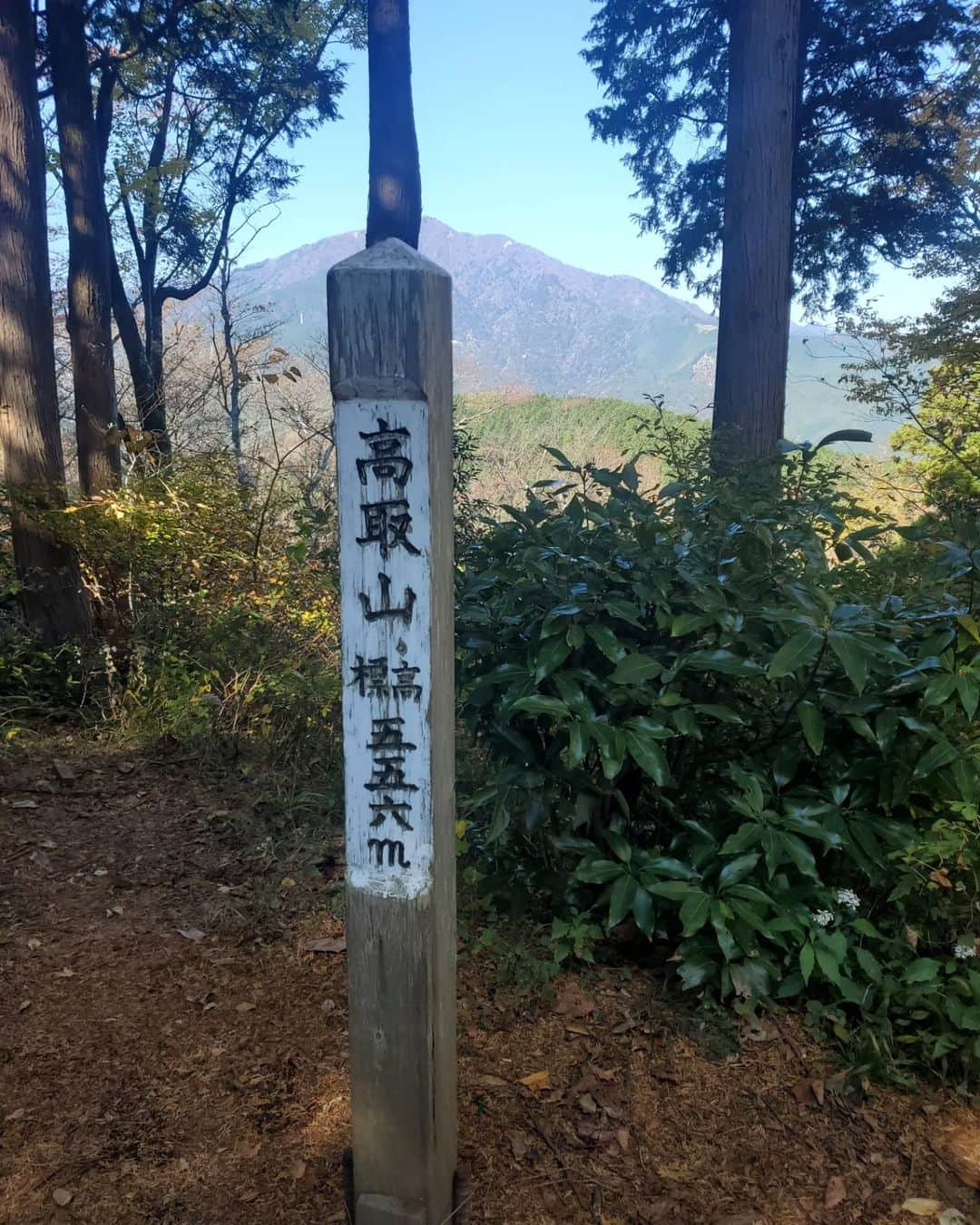 加藤ツバキさんのインスタグラム写真 - (加藤ツバキInstagram)「大山阿夫利神社からはだの富士見の湯へ 朝早いバスで大山ケーブルバス停に到着したのでケーブルカーはまだ運転前🥲階段祭りな参道を登ります 燃えるような赤に染まった葉が美しい🍁 富士見平からは富士山が🙌 大山山頂に着いてもゆっくりしている暇はナシ！ ここからはだの富士見の湯までは10kmほどの距離を縦走するのです。のんびり歩いてたら日が暮れちゃうので小走りです笑 大山山頂までは人多かったけどこの道はたまーに人に出会う程度。最近このあたりも熊目撃情報あるので鈴を鳴らしたり手をたたいたり、たまに歌ってみたりとあの手この手で人間アピールをしながら進みます🏃 久々のロングコースで14kmほど歩きましたがやっぱり楽しい！ 無事熊ともバッティングせず、はだの富士見の湯に到着 お風呂のあとはこれですね🍺餃子と唐揚げのわんぱくコンビで攻めてみました😏うっすら富士山見えるのおわかりいただけただろうか…  今年は紅葉見られないかなと思ってたのでとても嬉しい！ よい山旅でした🙆💛  おつかれやま🏞️  #大山 #大山阿夫利神社 #高取山 #はだの富士見の湯 #山活  #富士山ビュースポット」11月25日 9時19分 - katotsuba_desu