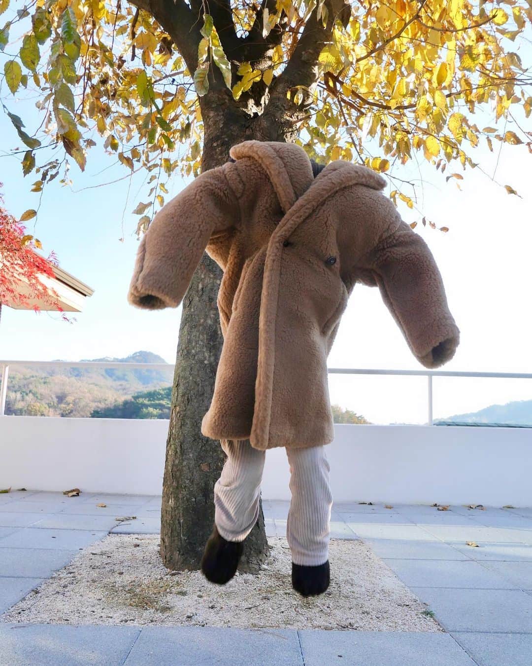 パク・ウォンジさんのインスタグラム写真 - (パク・ウォンジInstagram)「Teddy Bonvie 🤎 #maxmarateddybear」11月25日 9時42分 - sisi_wonji